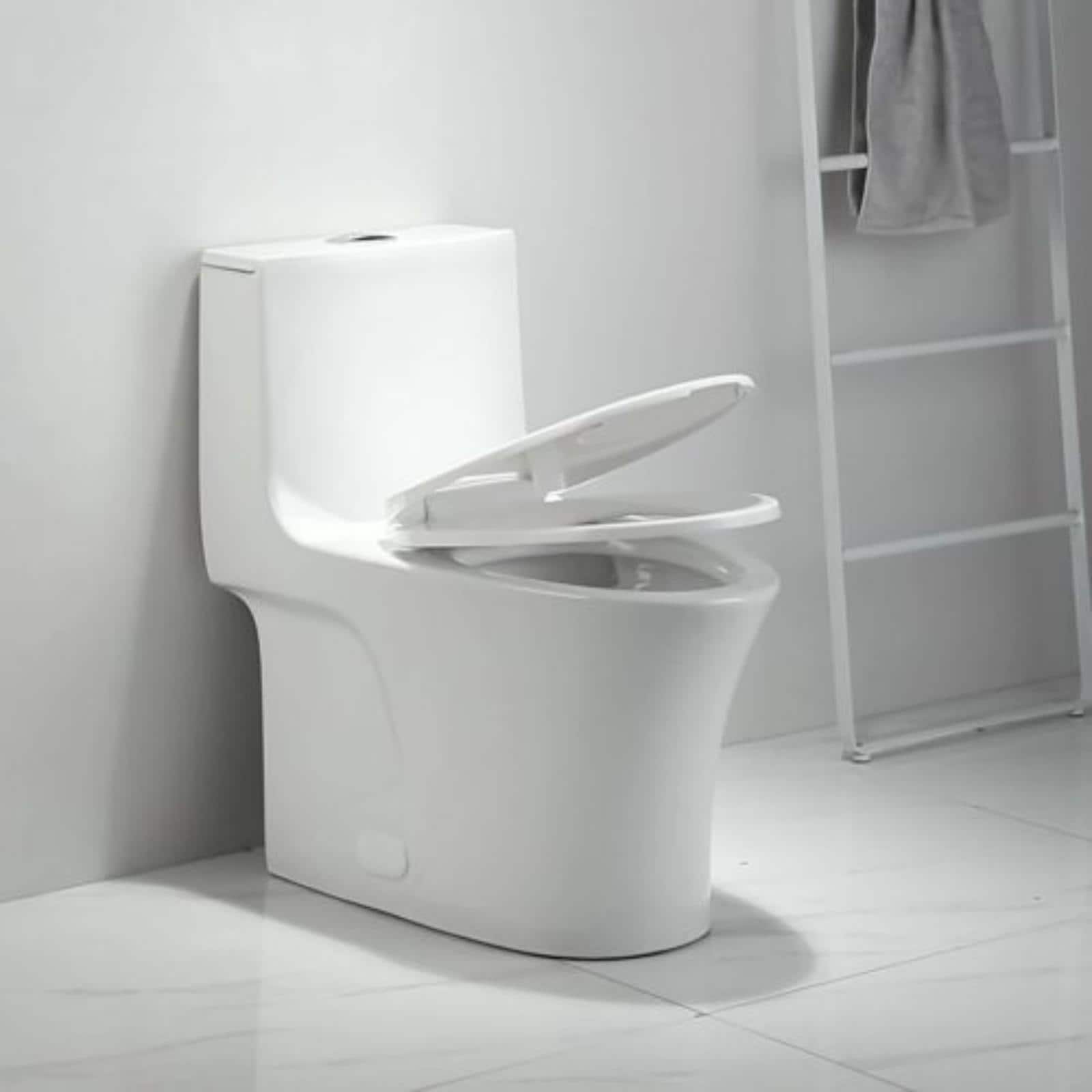 BWE TOILET-06 toilets - View #3