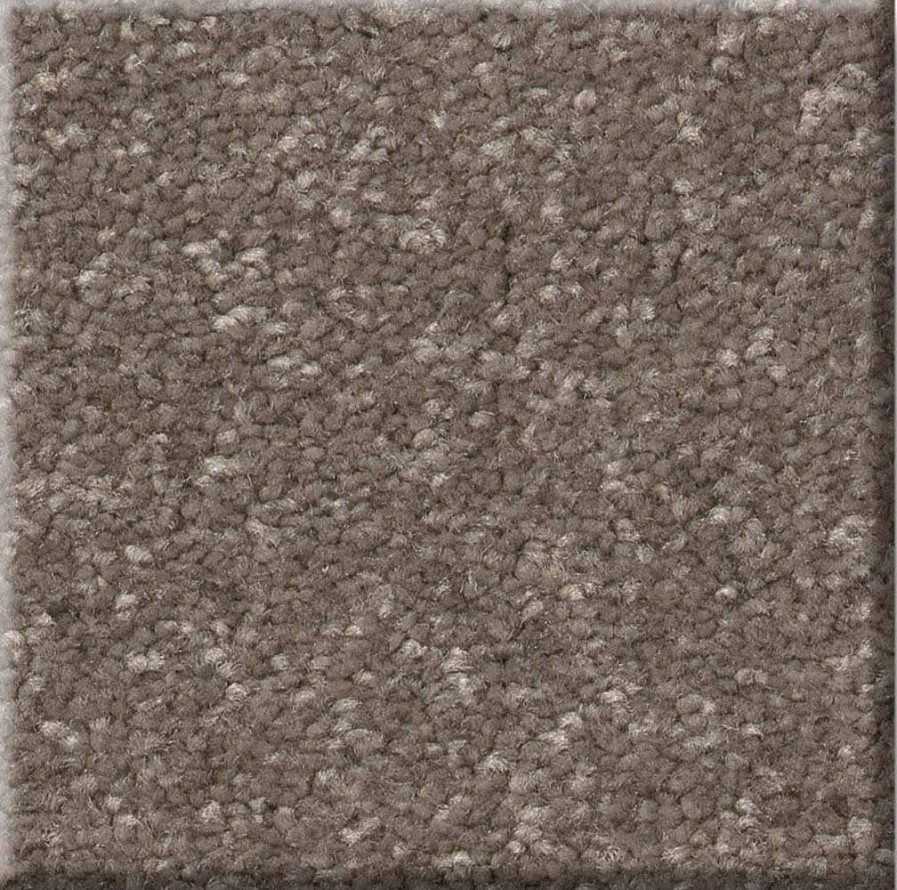 STAINMASTER 7L86100750 Best Intentions I 12-FT Cobblestone Brown 39-oz sq yard Polyester Textured Indoor Carpet