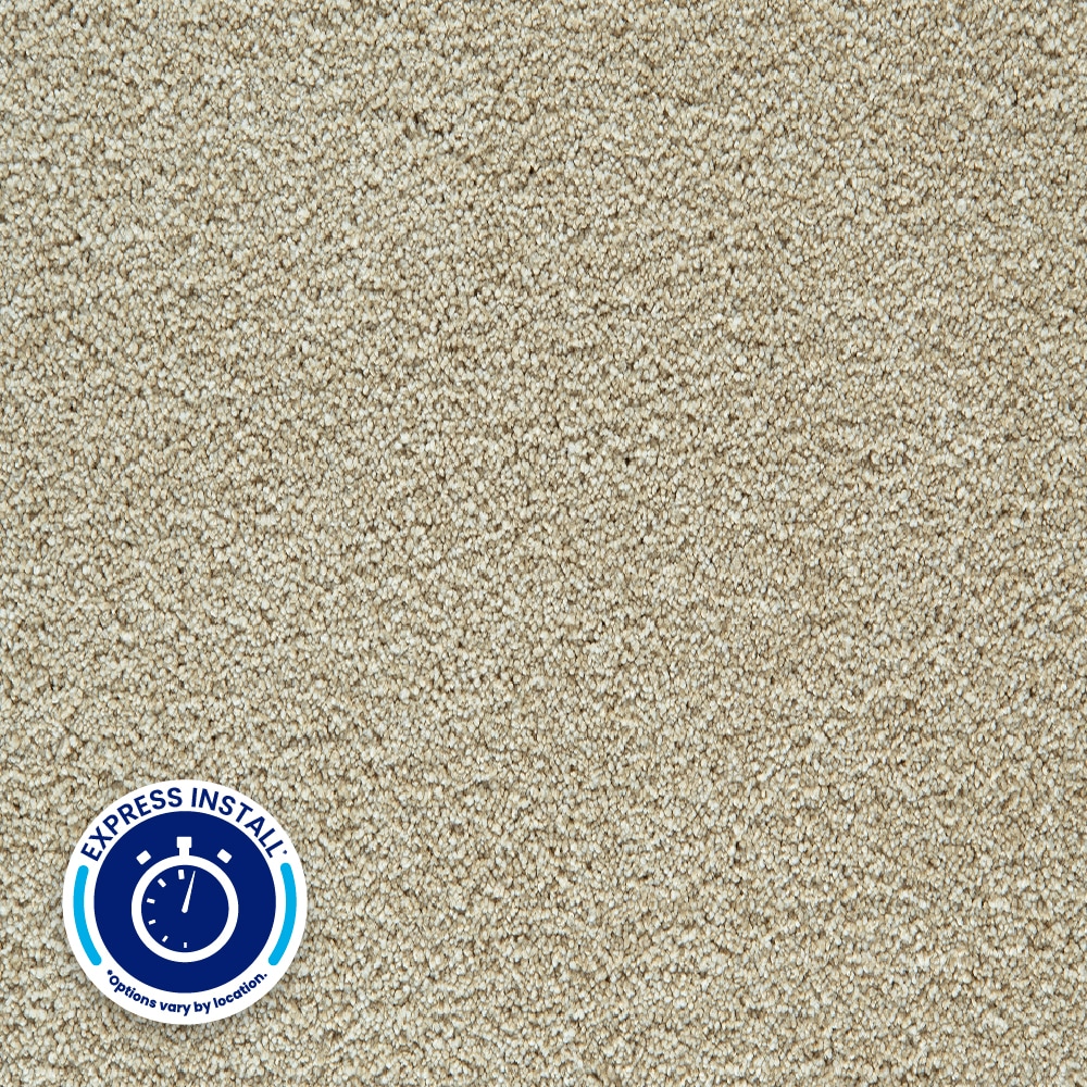 STAINMASTER PetProtect Pleasant Partner Polyester Textured Indoor Carpet with LeakDefense