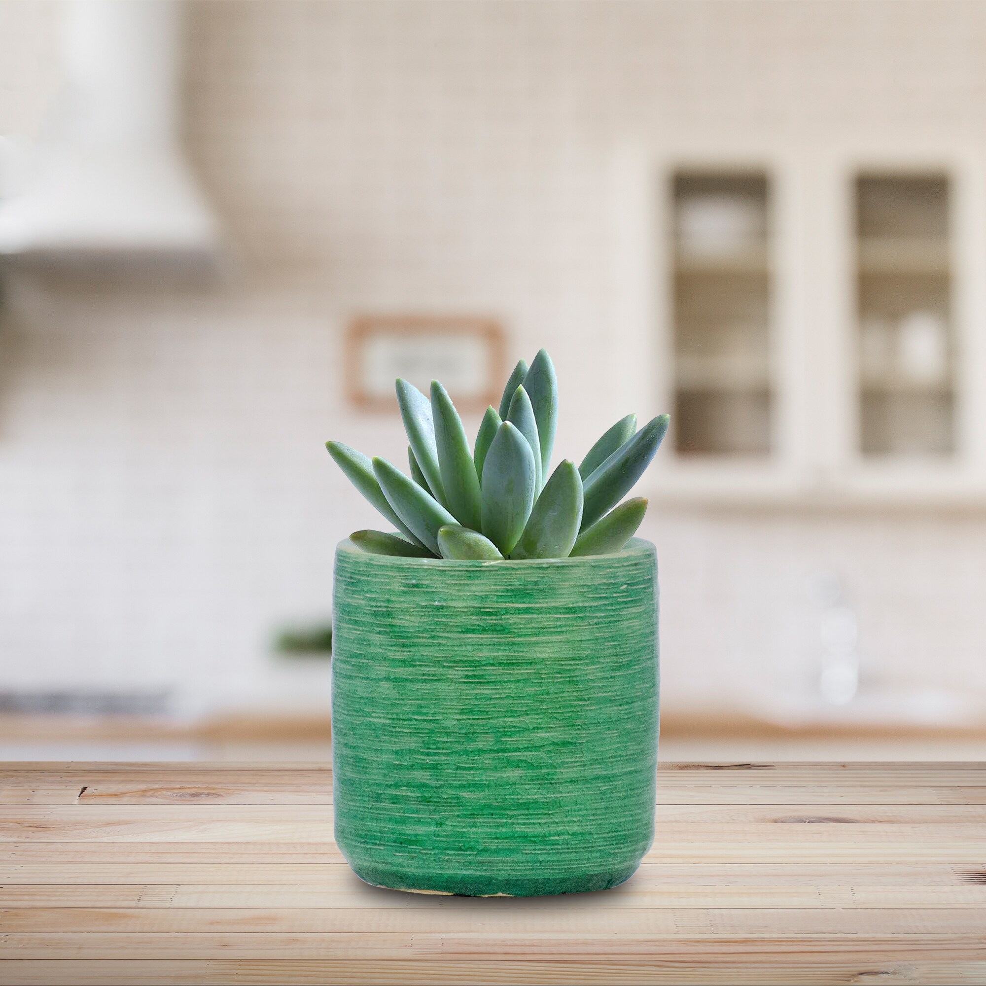 allen + roth CR11367N-045G5 Planter-Window-Box - View #2