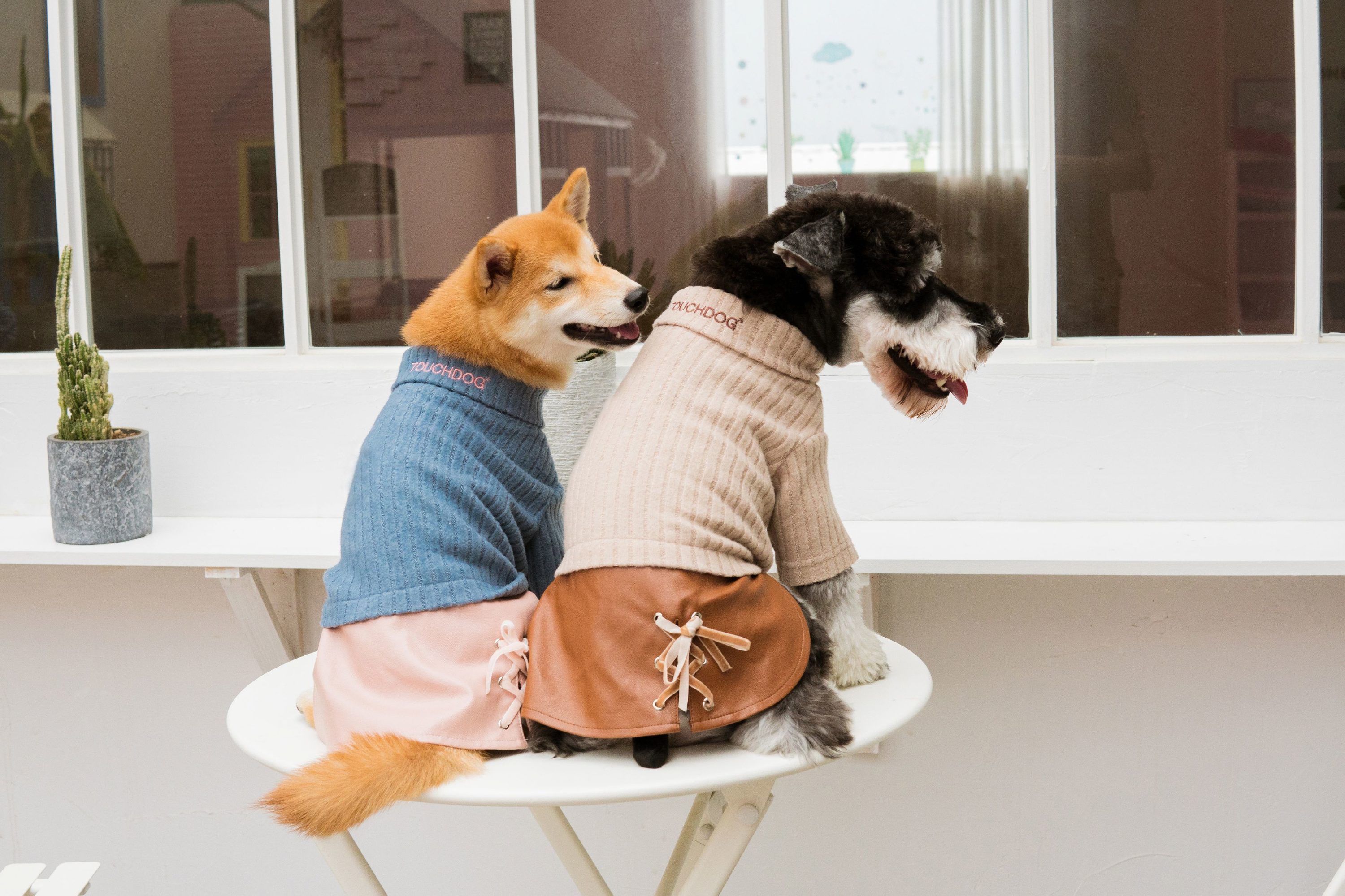 Touchdog SW23BLLG Dog-Apparel - View #6