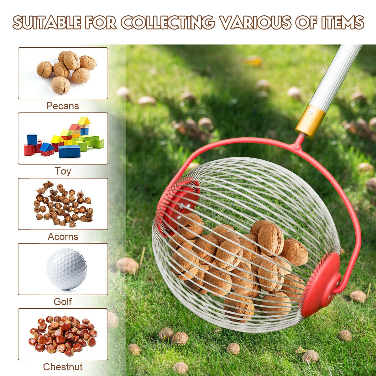 WELLFOR TBZ3441 Speciality-Harvesting-Tools - View #5
