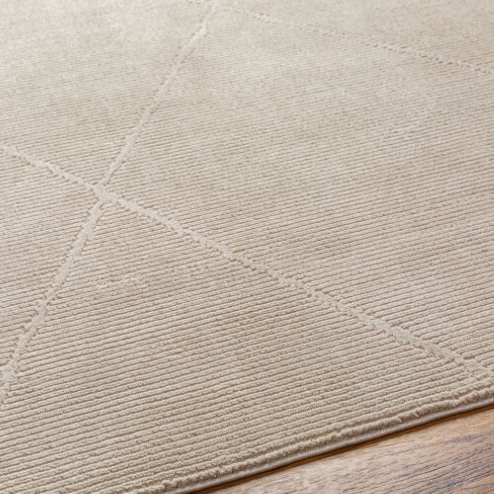 Livabliss ALD2301-2345 rugs - View #5