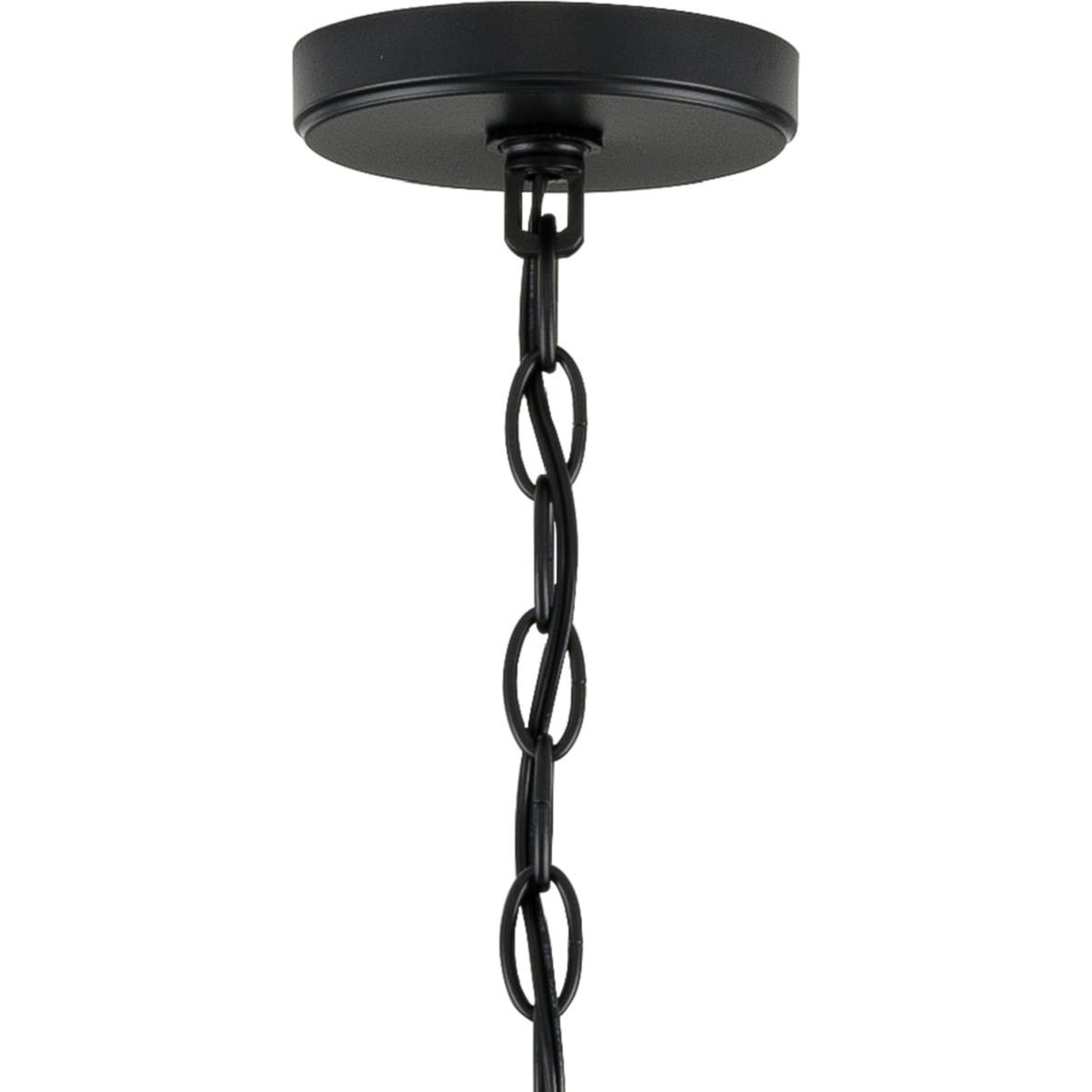 Progress Lighting P500316-031 Pendant-Lights - View #6
