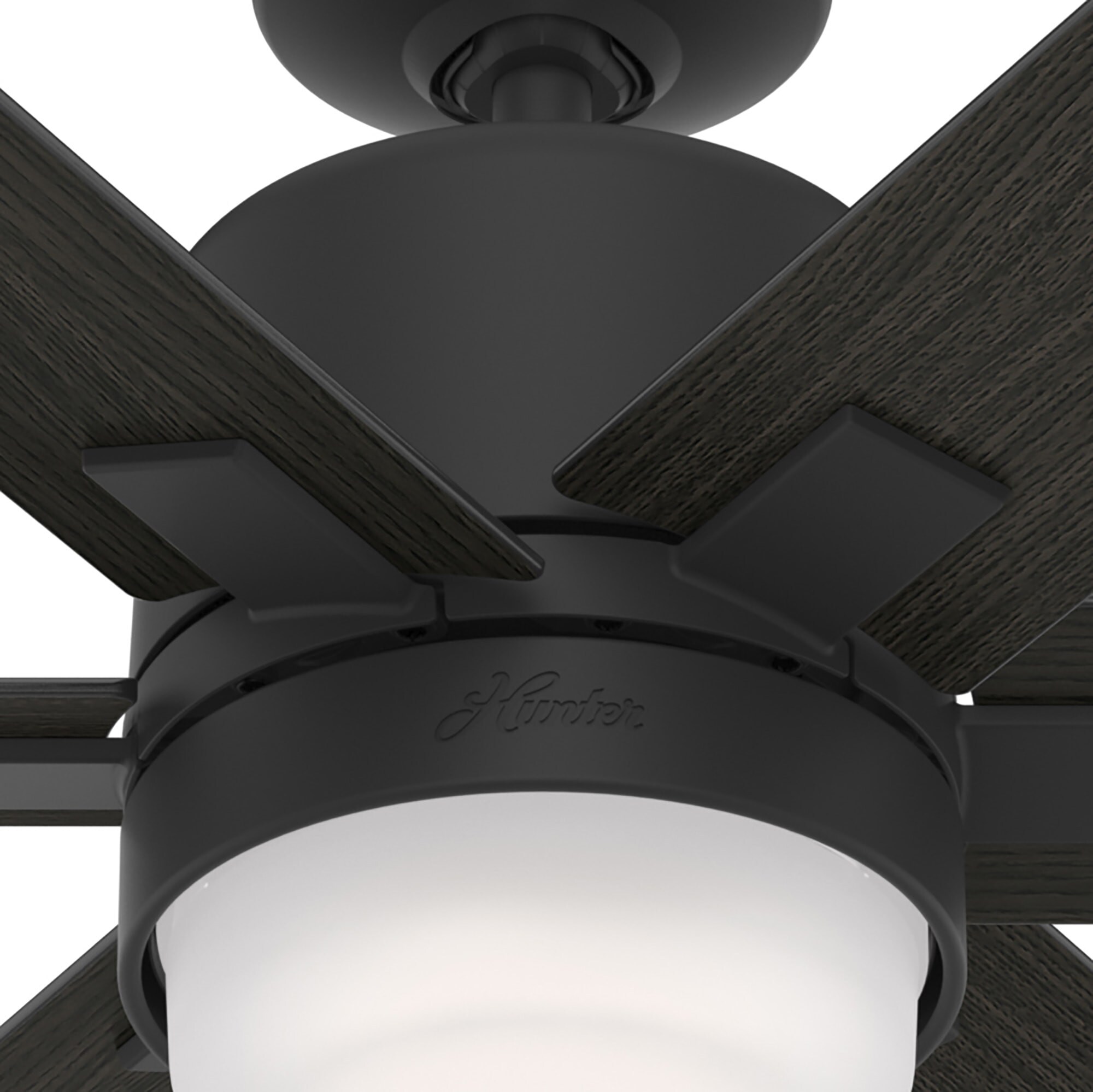 Hunter 50980 Ceiling-Fans - View #13