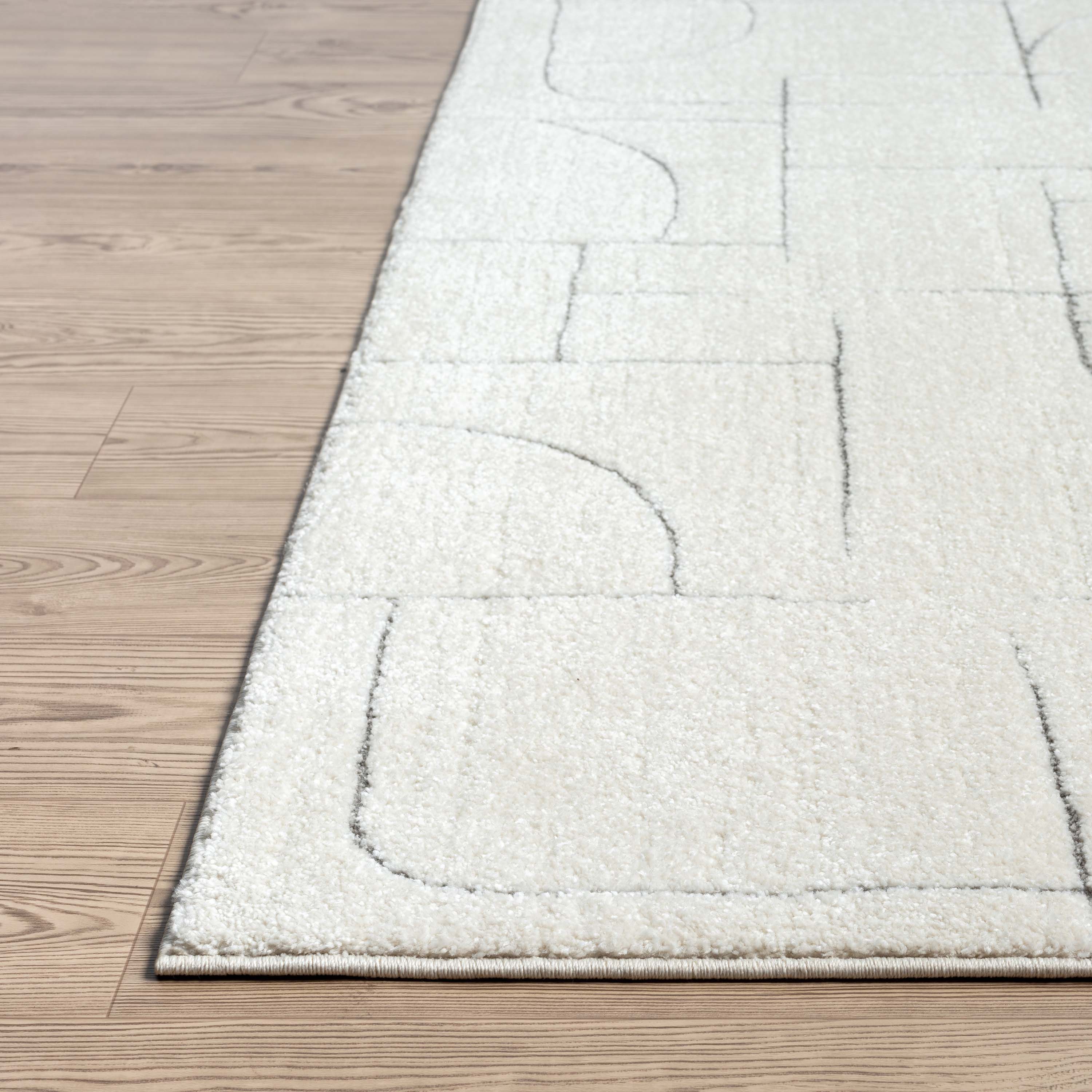 Abani Rugs COZ120A-6 rugs - View #5