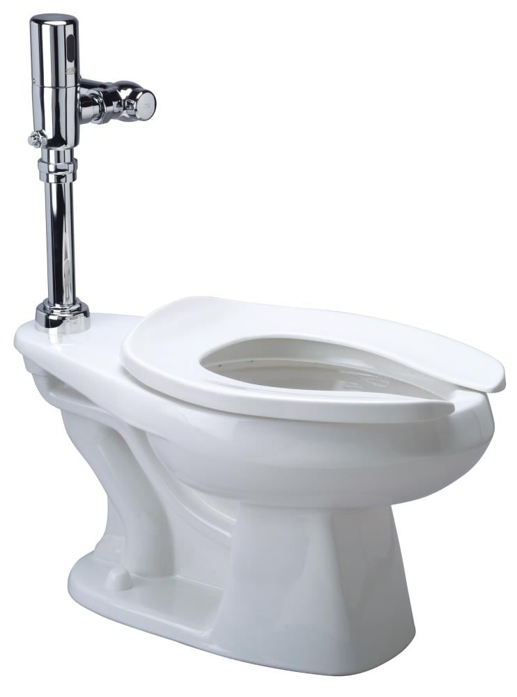 10-in Rough 1-piece Toilets at Lowes.com