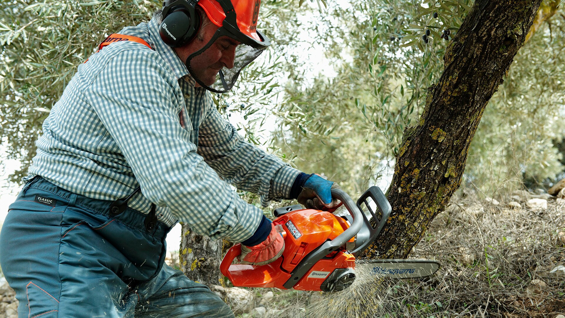 Shop Husqvarna 450 Rancher Chainsaw Collection at