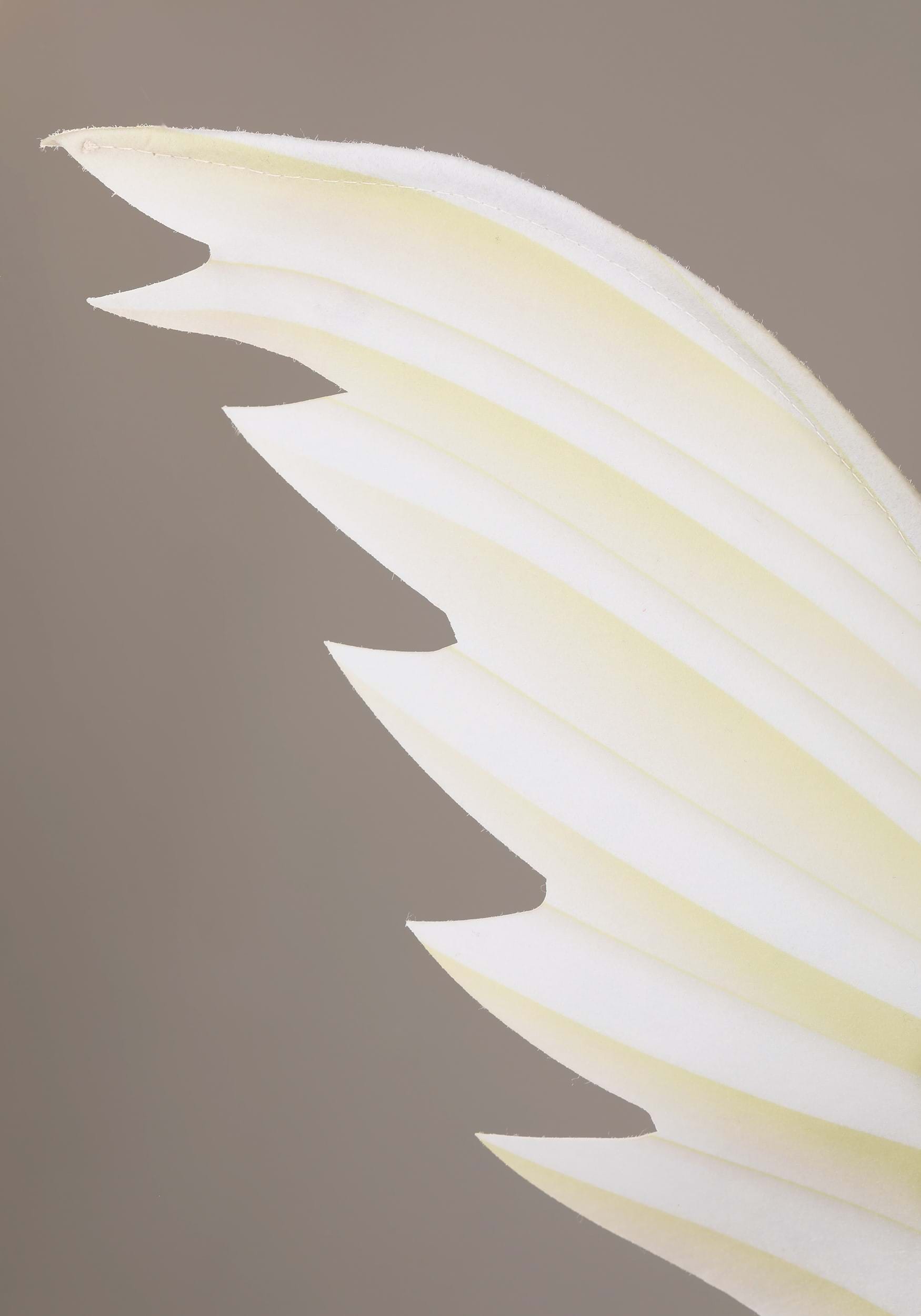 HalloweenCostumes.com FUN3789CH-S costumes - View #5