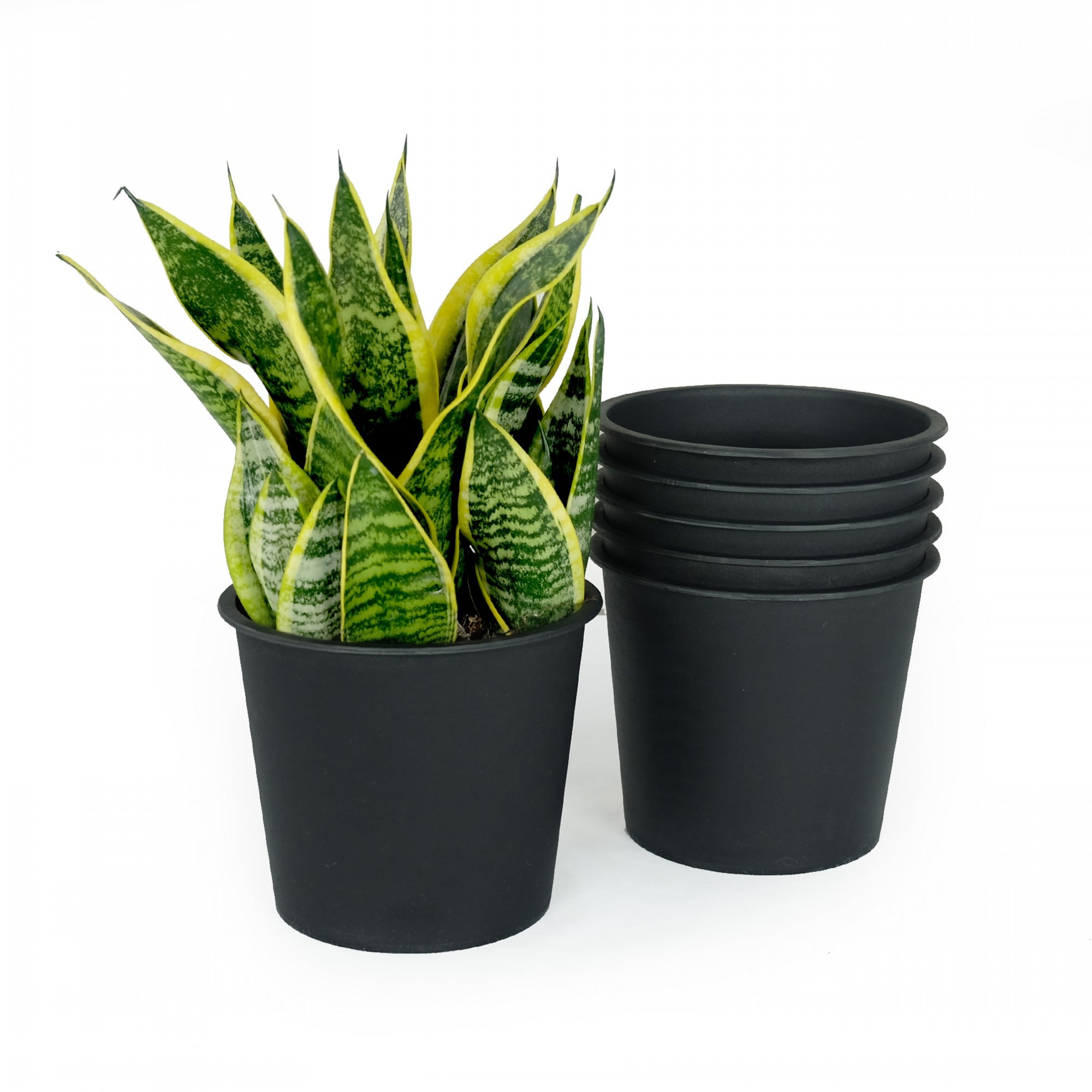 Yiekholo LL-1676AA 5 -Pack Round 5.0-Inches W Small Black Plastic Indoor/Outdoor Planter with Drainage Holes with Self Watering