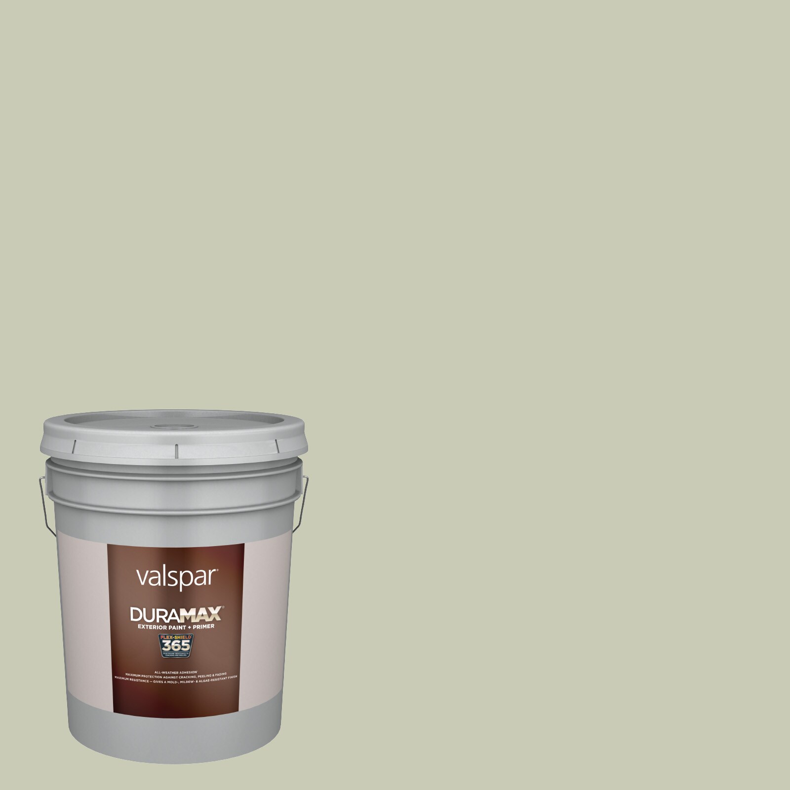 Valspar 6001-3B-9576 Duramax Semi-gloss Mint Frost 6001-3B Latex Exterior Paint + Primer ( 5-gallon )