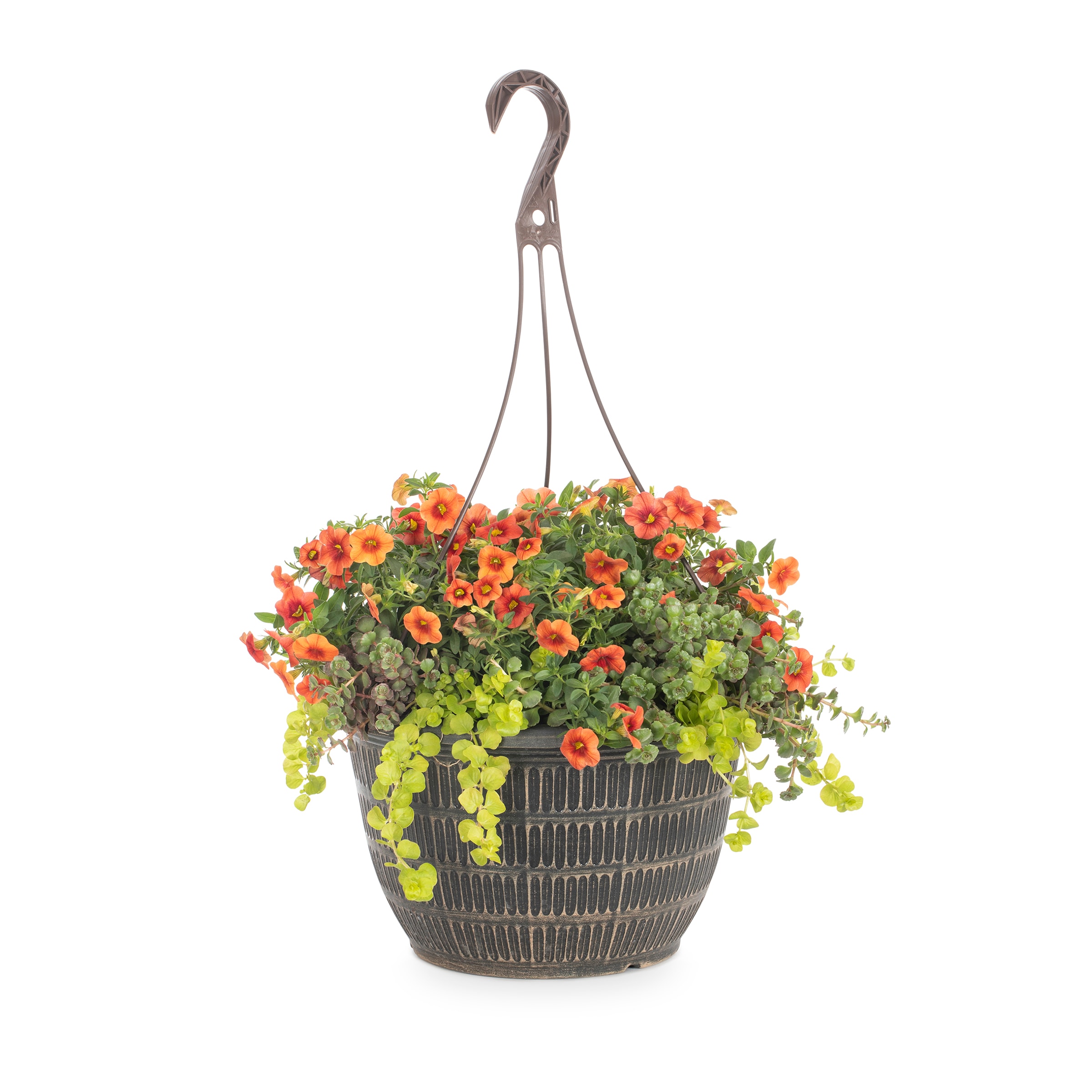 Lowe's Multicolor Mixed Annuals Combinations in 2-Gallon Planter in the ...