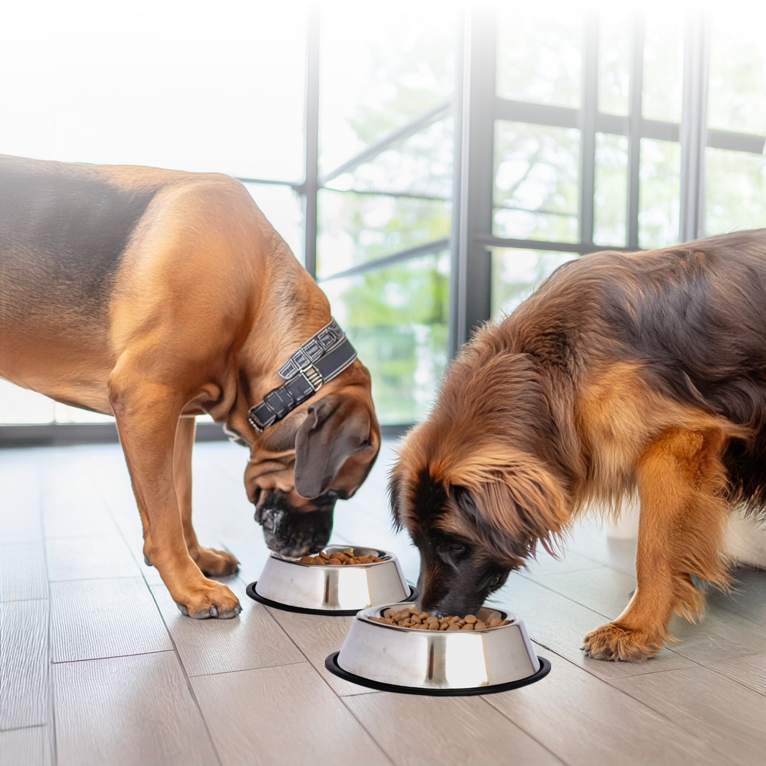 Iconic Pet 51416 Pet-Feeder - View #7