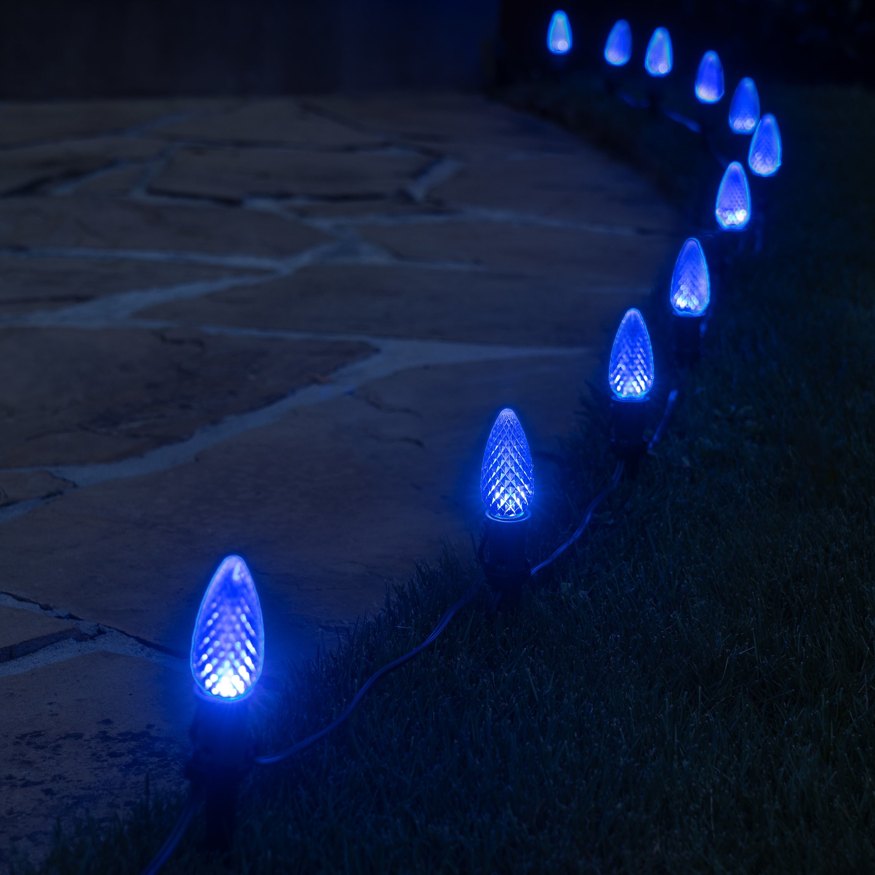 Wintergreen Lighting 81147 Pathway-Markers - View #5