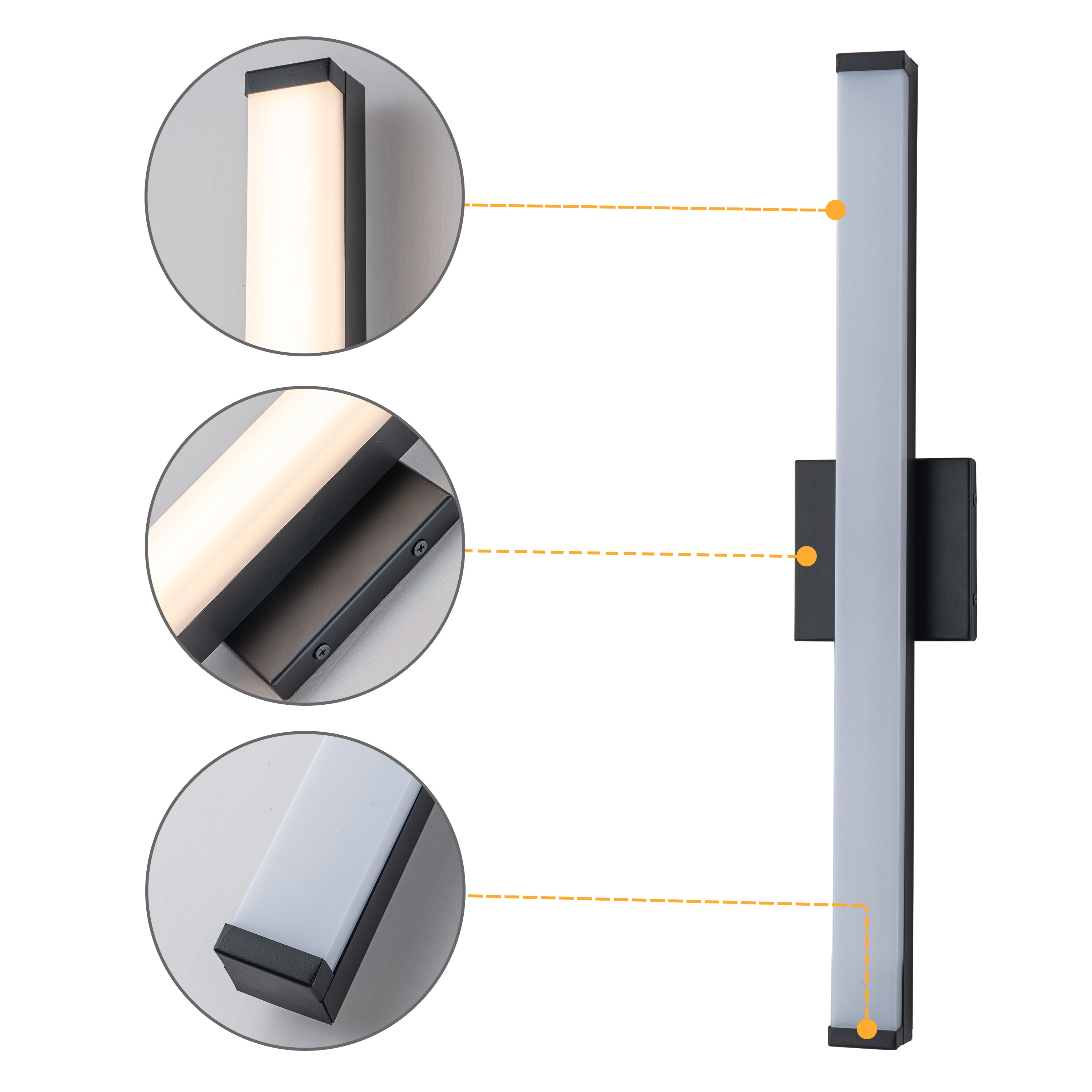 C Cattleya LCA2641-SWM b089995 - View #4