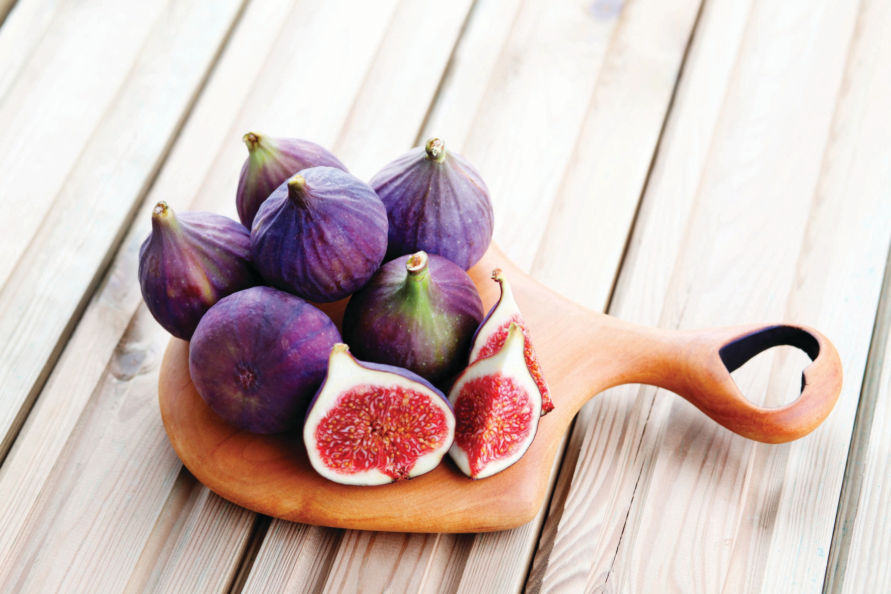 Garden State Bulb 08038 FIG CHICAGO 1-PK PBS