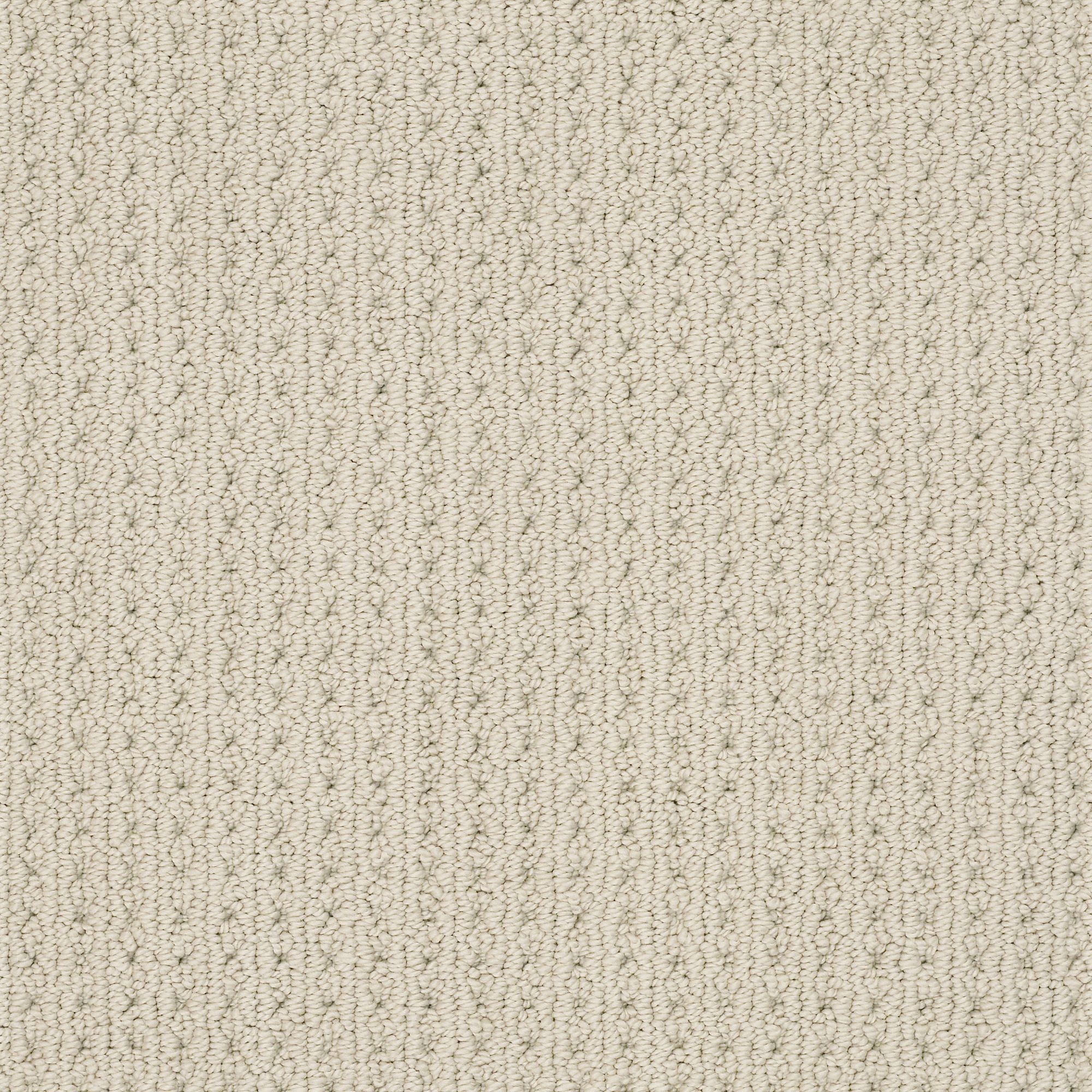 STAINMASTER 7L87400115 Revitalized Fleece Off-white 34.1-oz sq yard Nylon Level loop Indoor Carpet