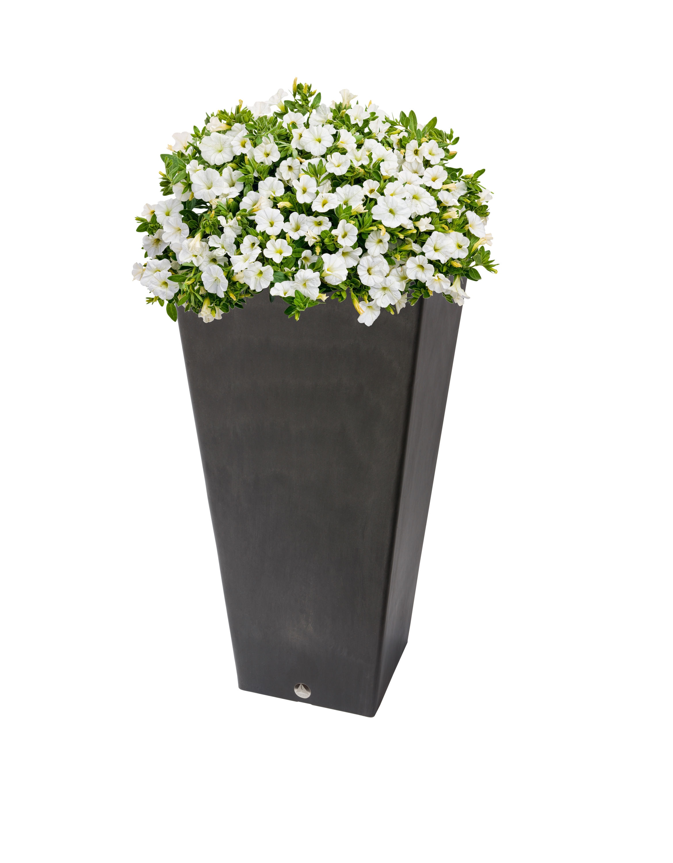 Algreen Products 17241 Planter-Window-Box - View #4