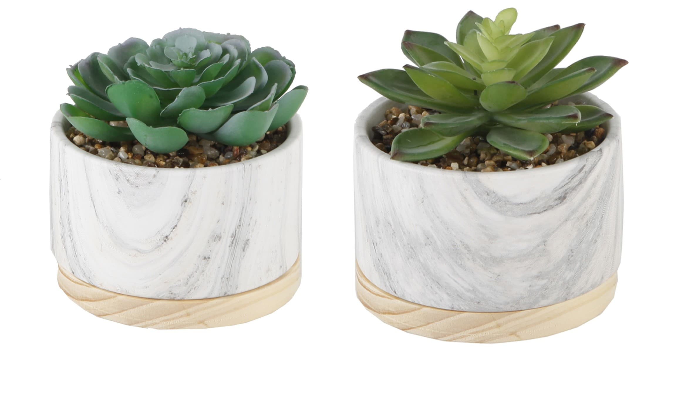 Flora Bunda 6-in Marble Indoor Desktop Succulent Artificial Plant
