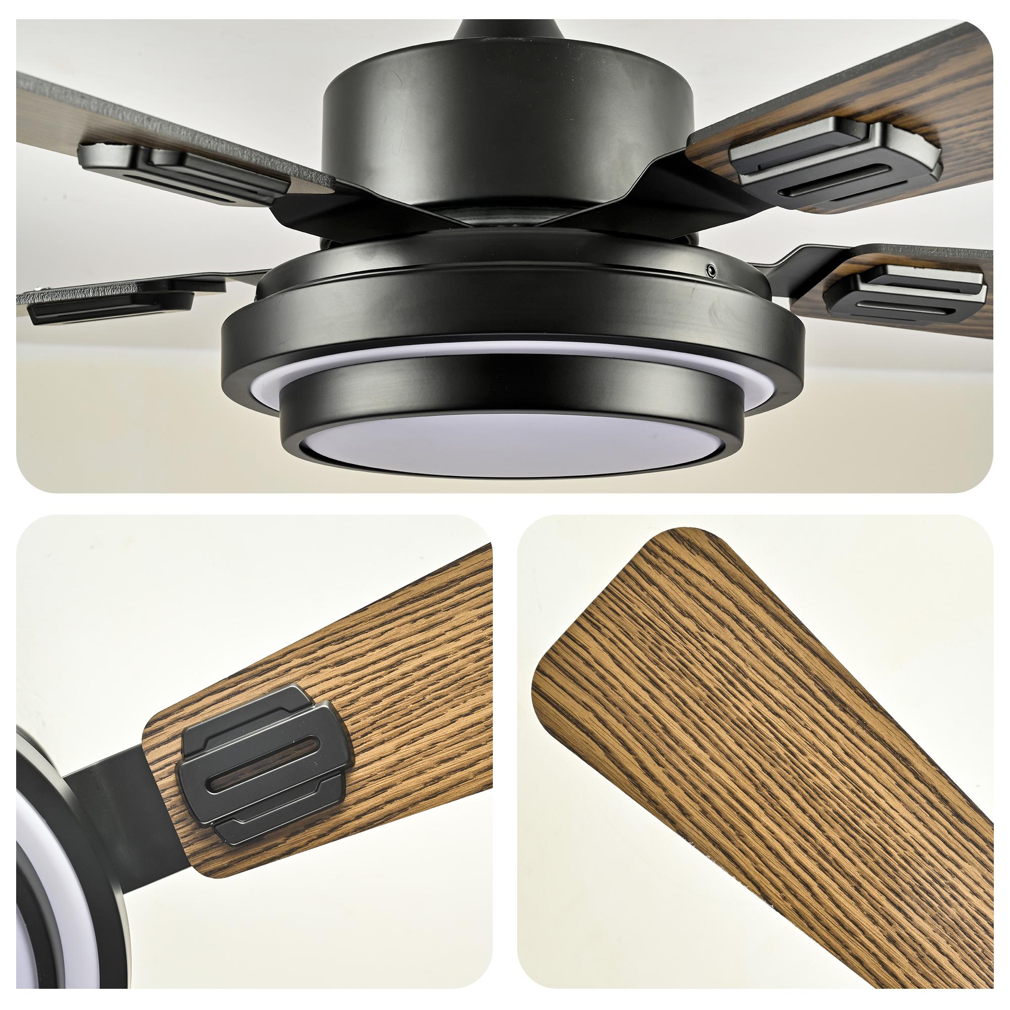 Bayfeve BF-462052-MP Ceiling-Fans - View #18