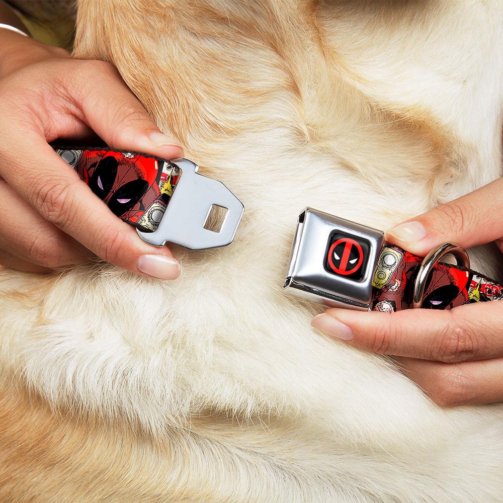 Buckle-Down DC-WDP016-M Dog-Collars-Harnesses - View #2