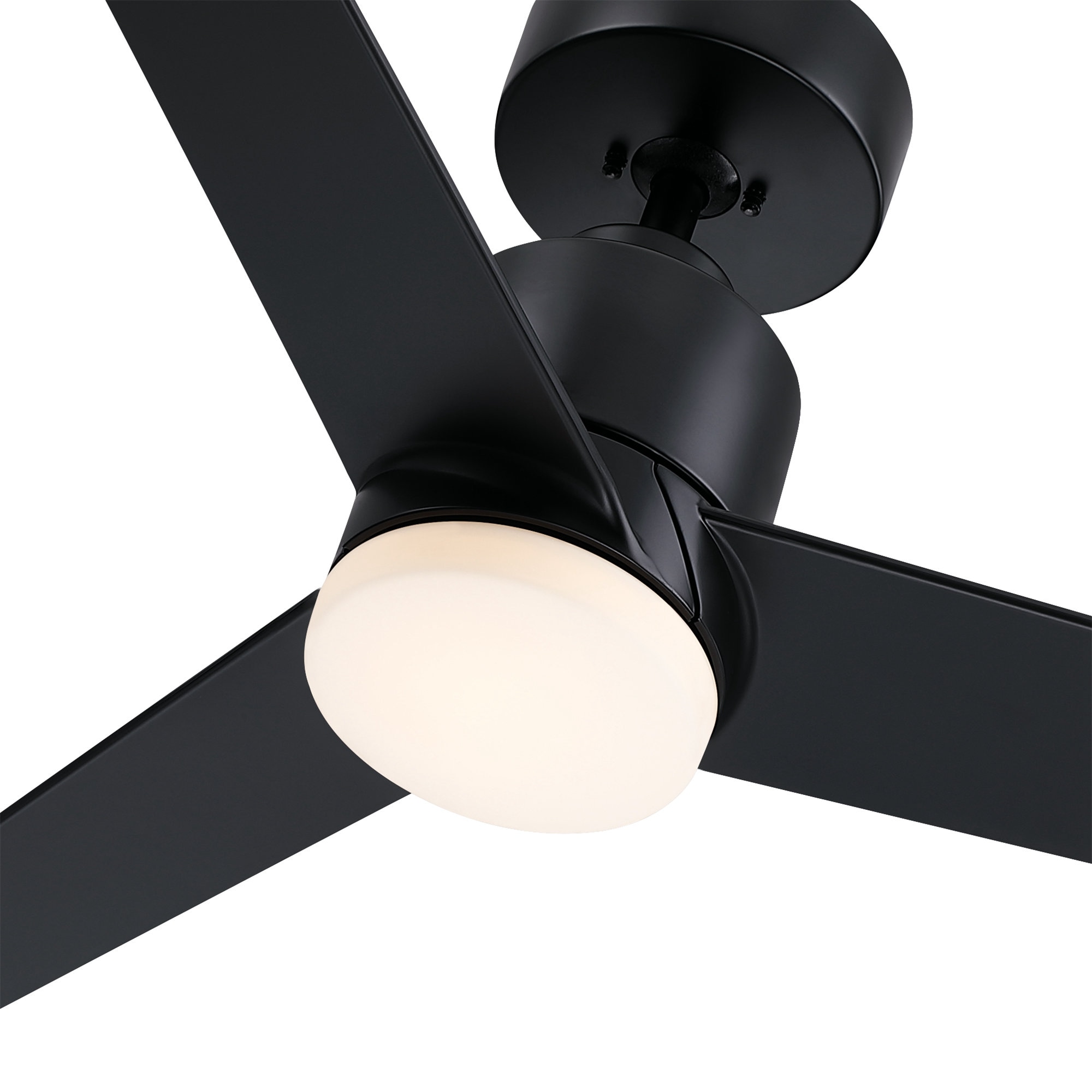 Parrot Uncle BBCF344BB Ceiling-Fans - View #6
