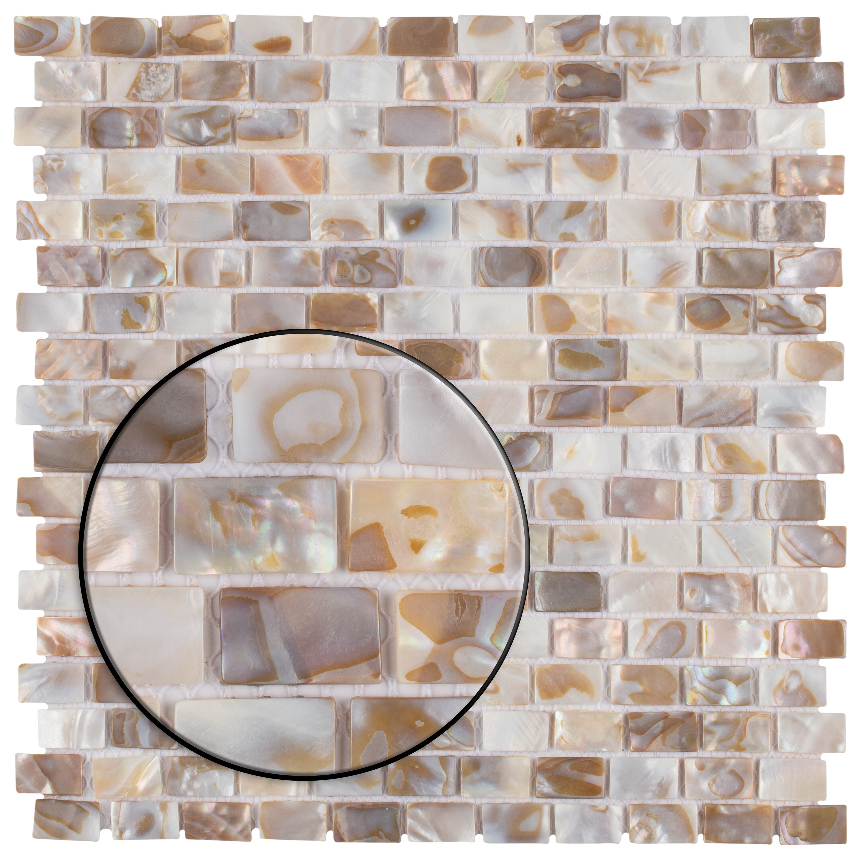 Affinity Tile GDXCSWN Ceramic-Tile - View #5