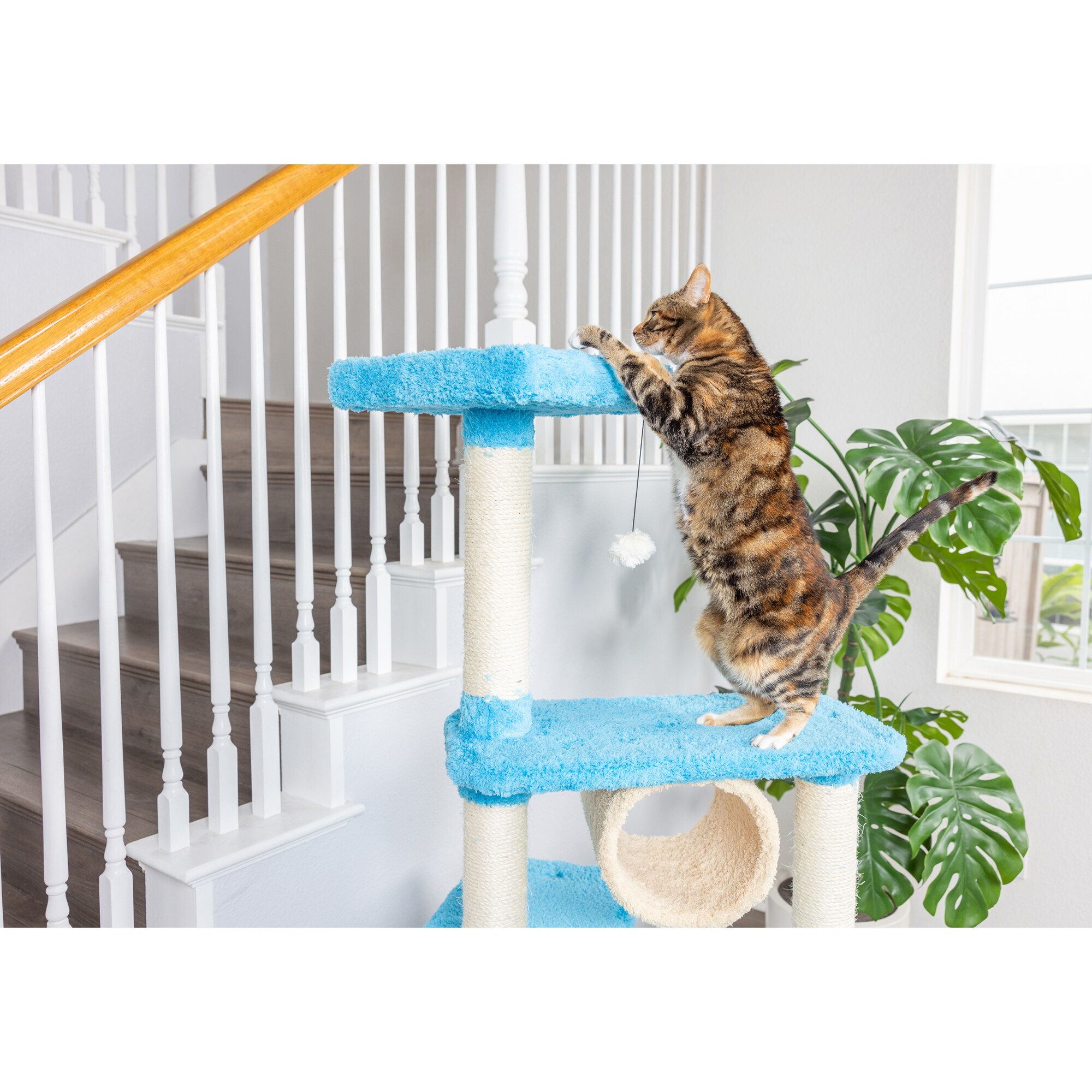 Armarkat X6105 Cat-Trees - View #11