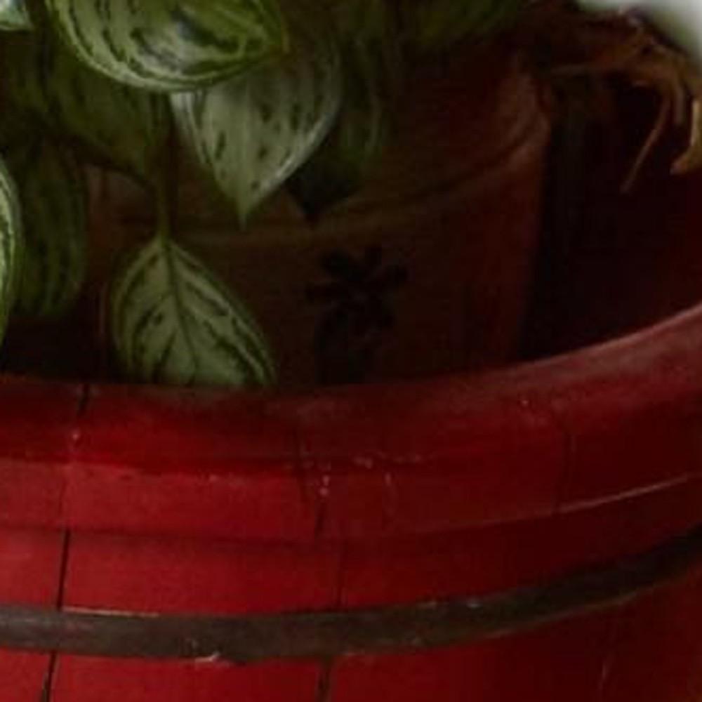 HomeRoots 4000395569 rugs - View #4