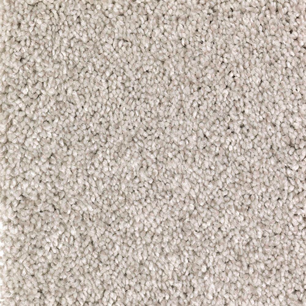 STAINMASTER STP21-L001-0808 (Sample) Soft cover Cloudland Gray 55-oz sq yard Polyester Textured Indoor Carpet