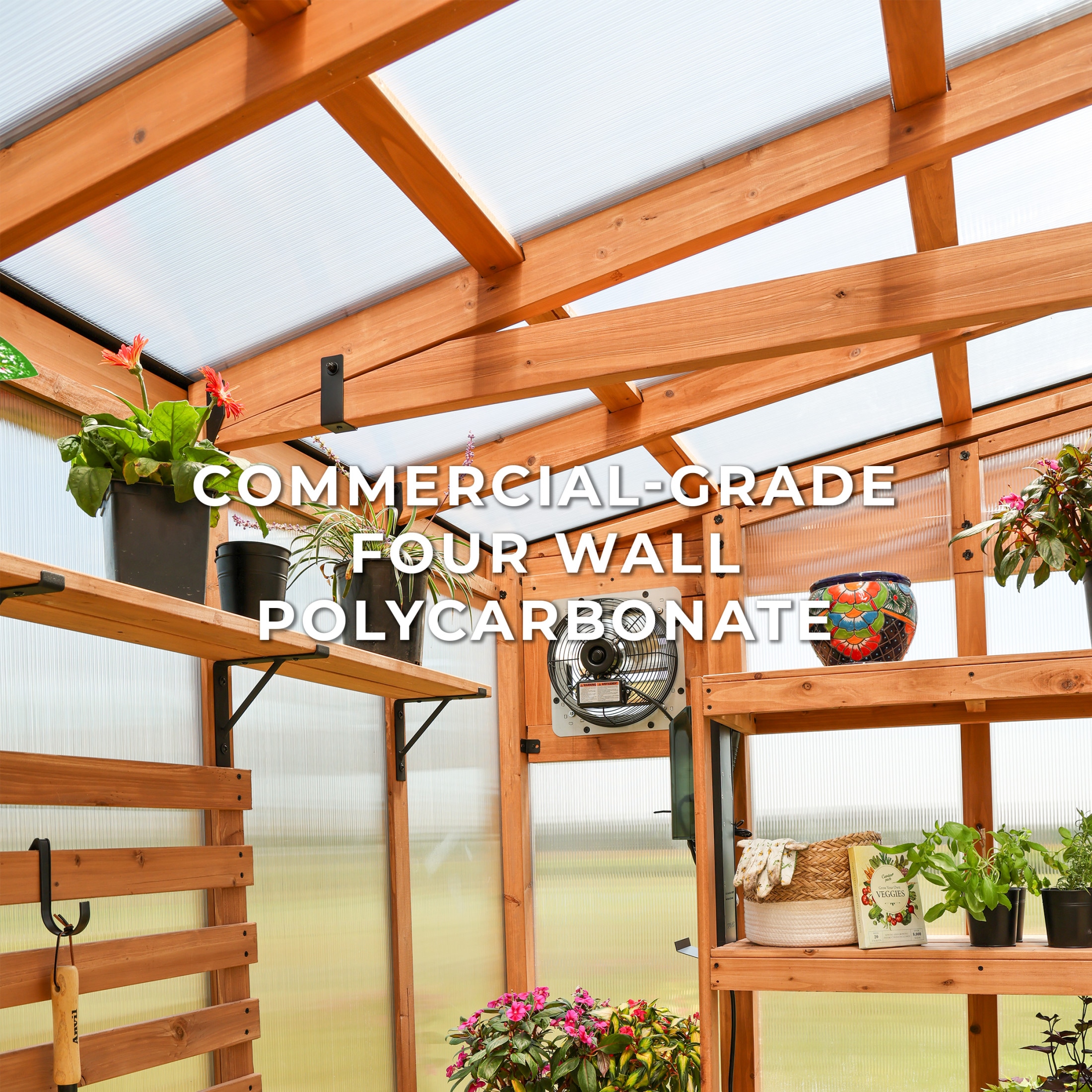 Backyard Discovery 2404106COM greenhouses - View #5