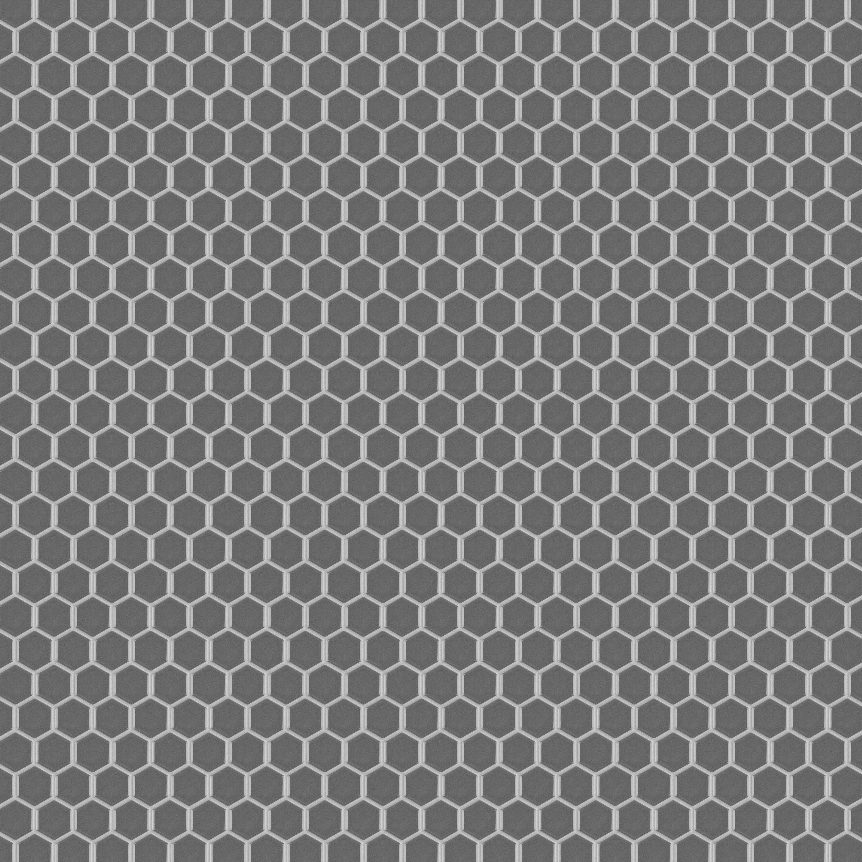 Affinity Tile S1FWRM1HGG Tile-Samples - View #5