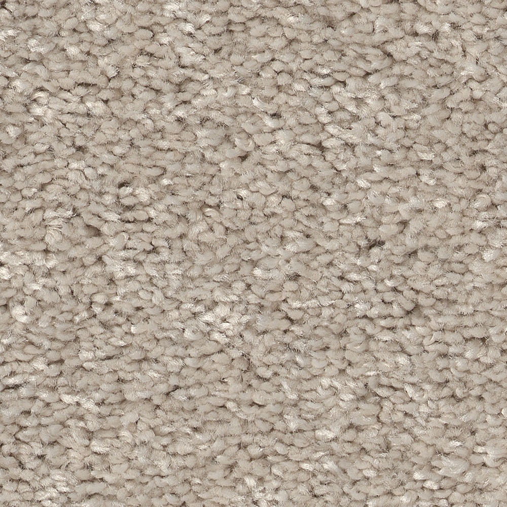 Style Selections 7L84600105 Dialed In I Bare Mineral Brown 25-oz sq yard Polyester Textured Indoor Carpet