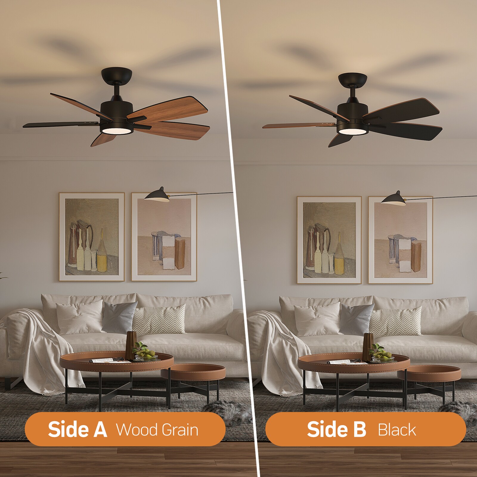 TALOYA TLY42-BK-5D-S5 Ceiling-Fans - View #6