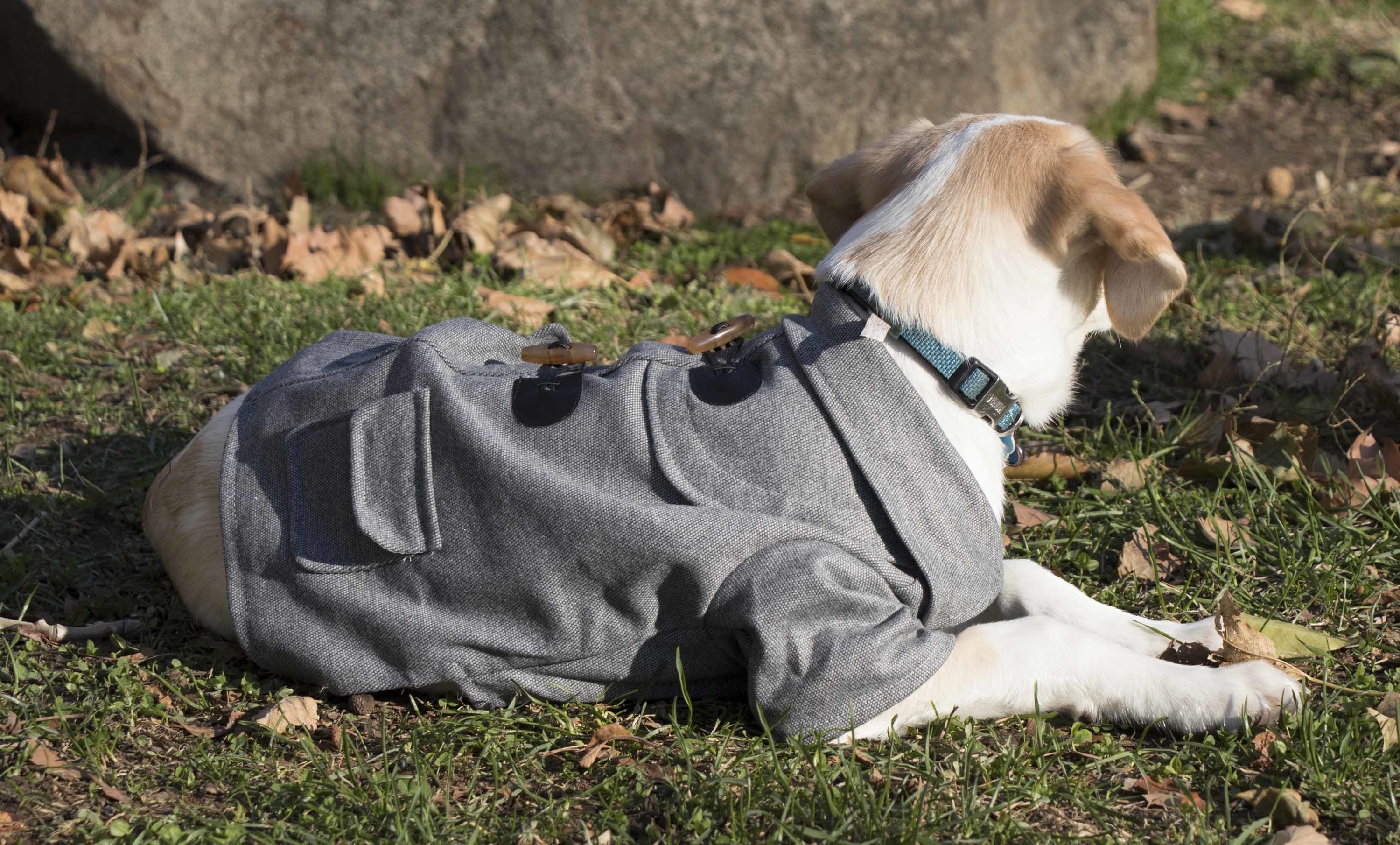 Pet Life 25GYMD Dog-Apparel - View #5