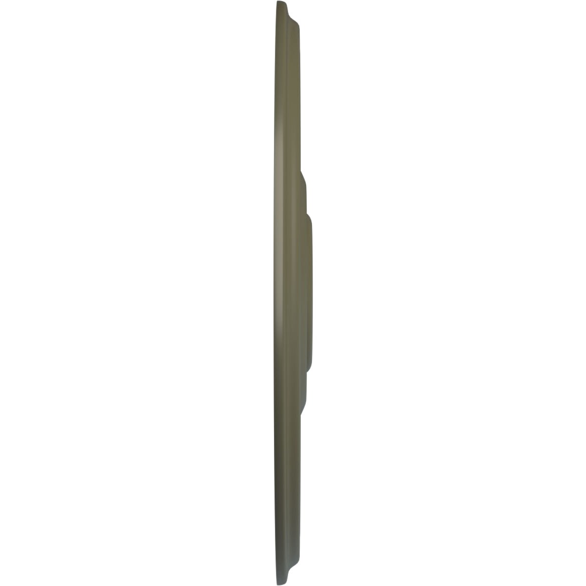 Ekena Millwork CM21REPTF Ceiling-Medallions - View #3