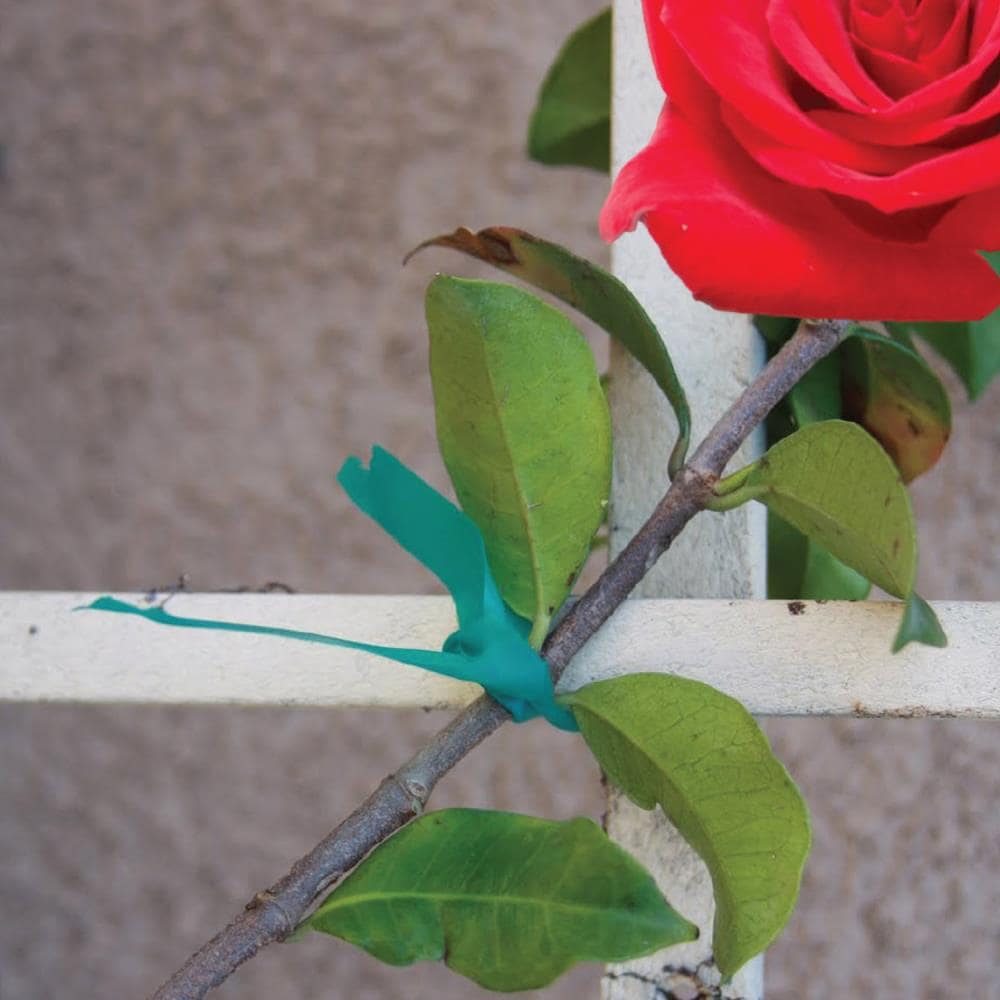 Panacea Products 84192L Tree-Stakes-Ties - View #2