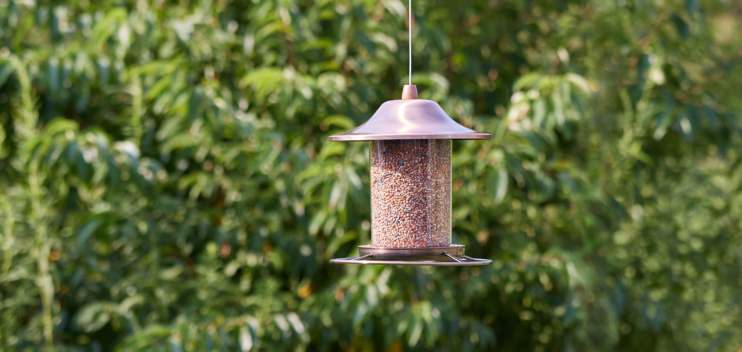 Red River Commodities 009560 Bird-Squirrel-Food - View #4