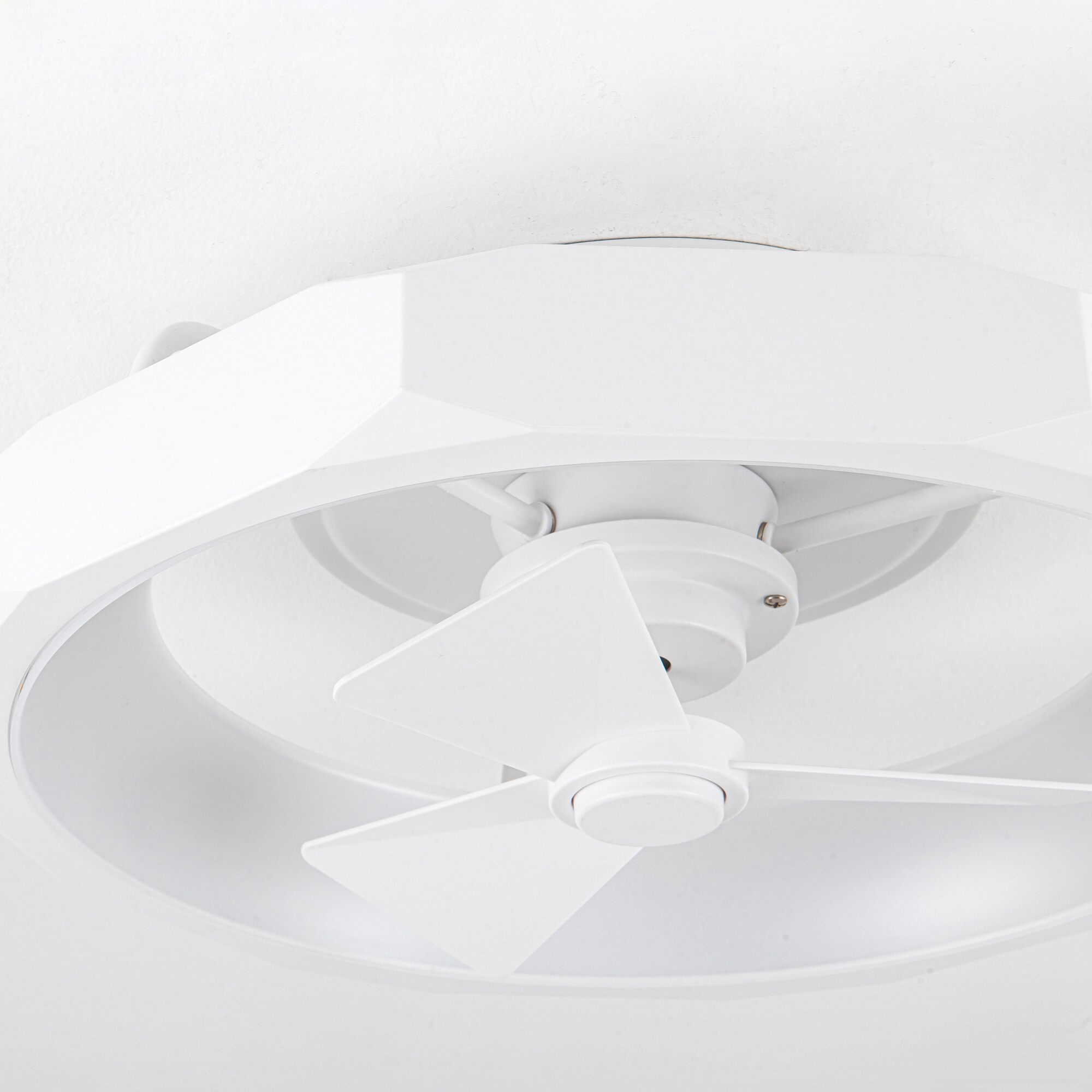 Parrot Uncle F8309WH110V Ceiling-Fans - View #12