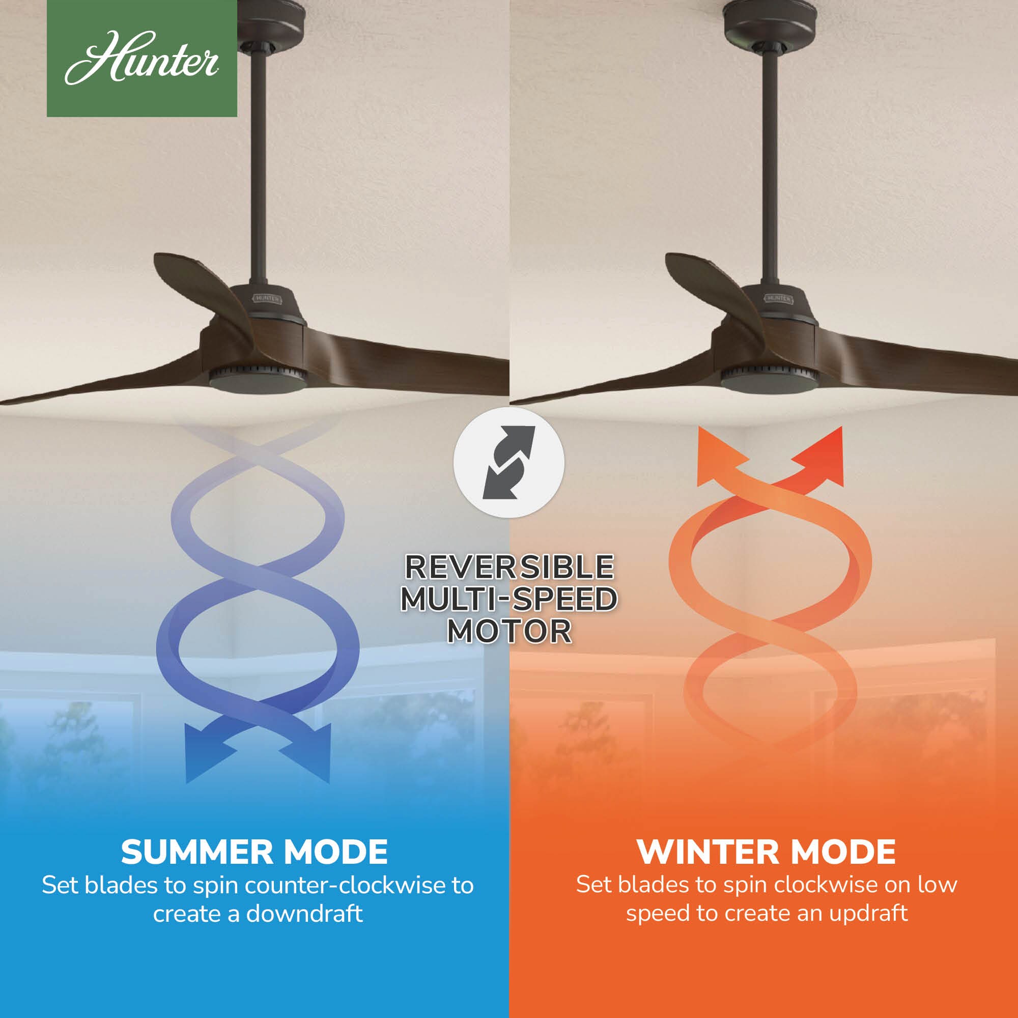 Hunter 50962 Ceiling-Fans - View #8