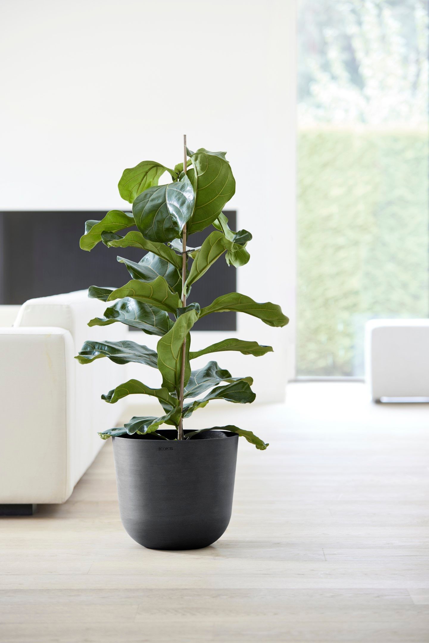 ECOPOTS 5413724316763 Planter-Window-Box - View #4