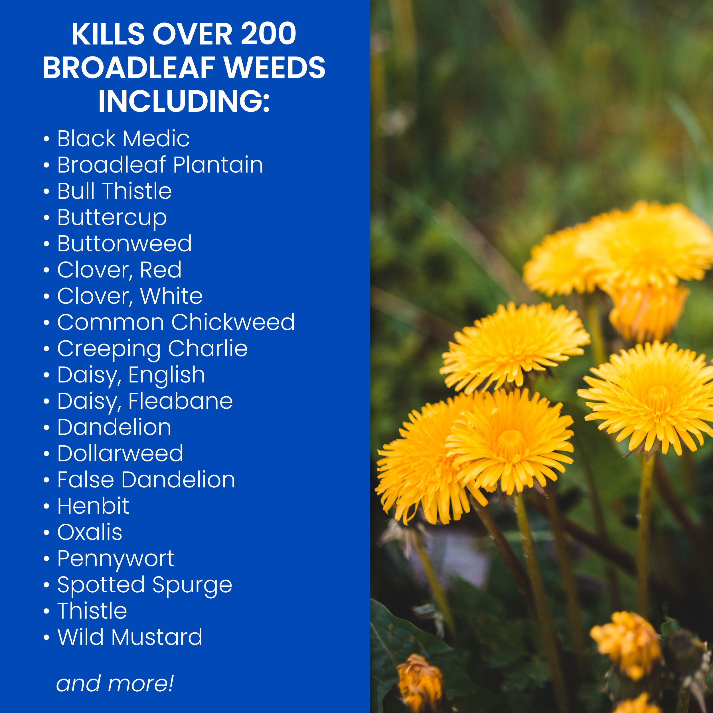 BioAdvanced 502890 Weed-Killers - View #2