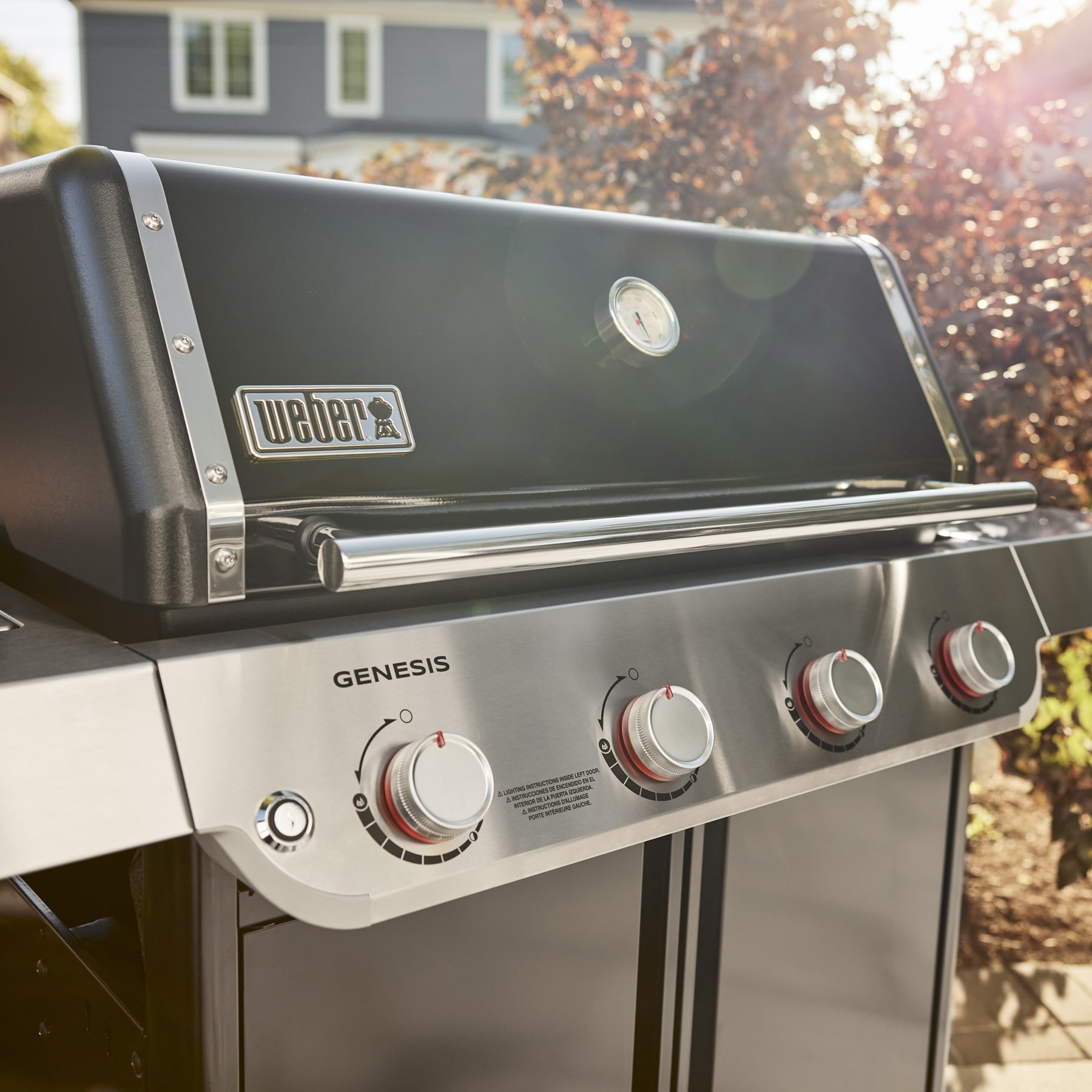 Natural gas grills at lowes best sale