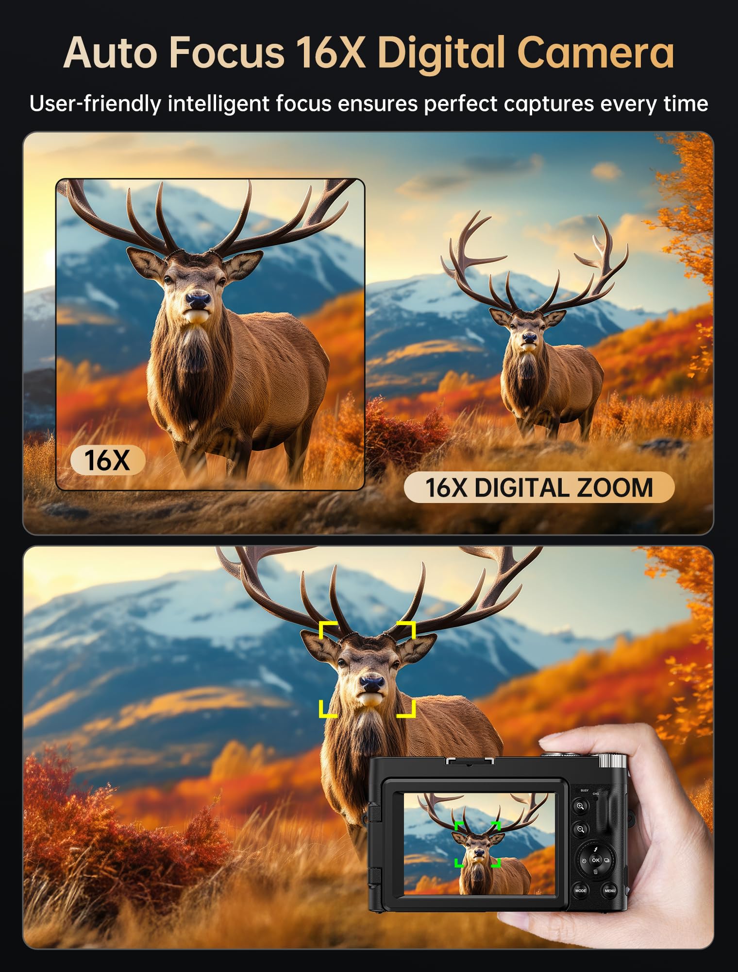 Misopily LMS0825M0408  - View #5