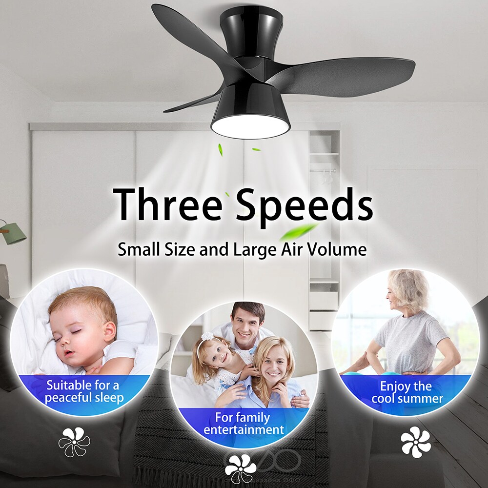 Sunrinx MG40-5-FL Ceiling-Fans - View #8