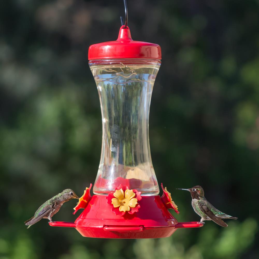 Perky-Pet 476-3 Bird-Feeders - View #3