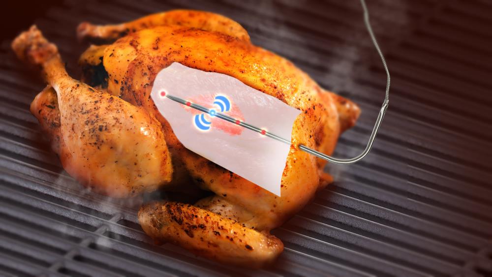 Beclen Harp Meat Thermometer Chicken Turkey Poultry Probe Temperature