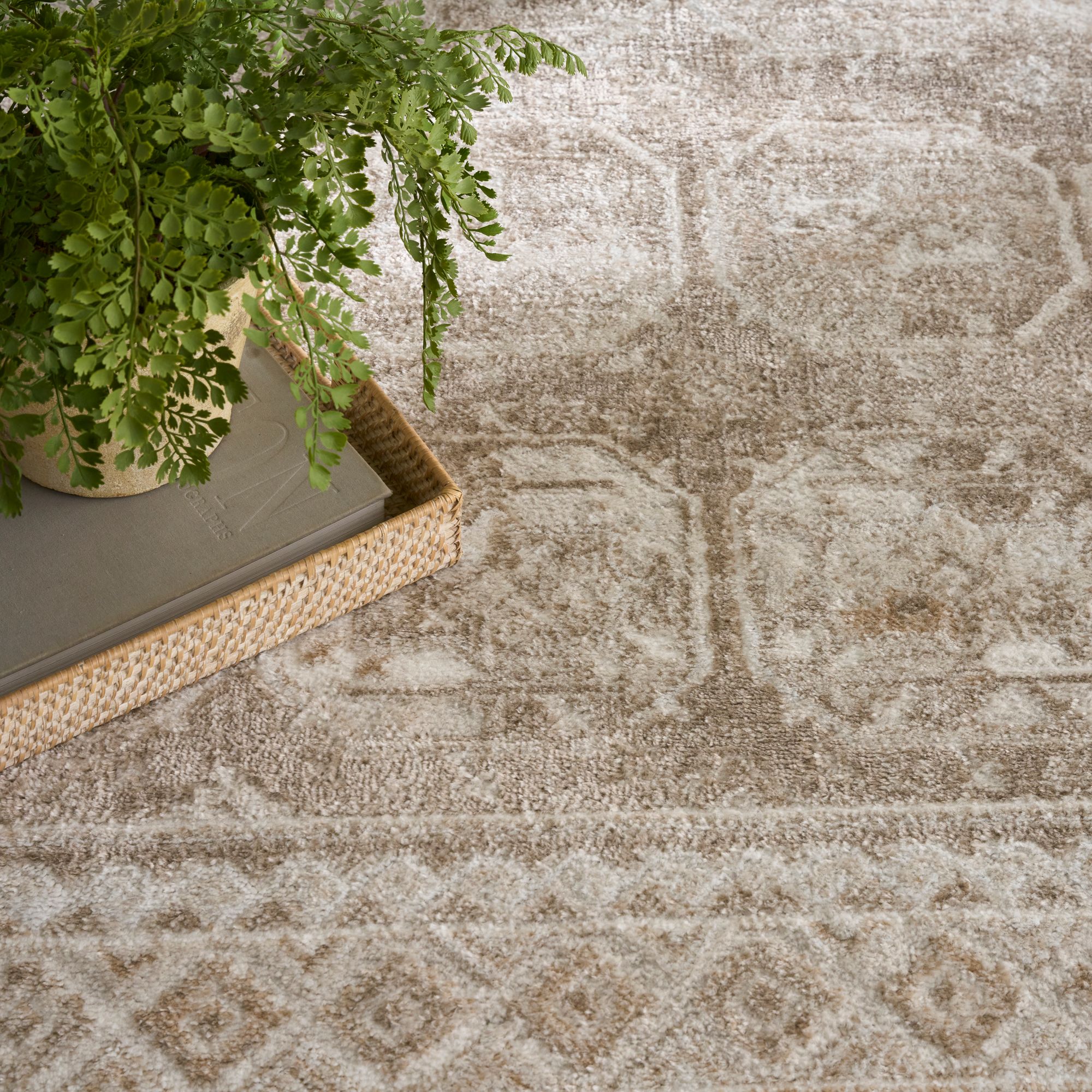 Nourison 841491152065 rugs - View #3