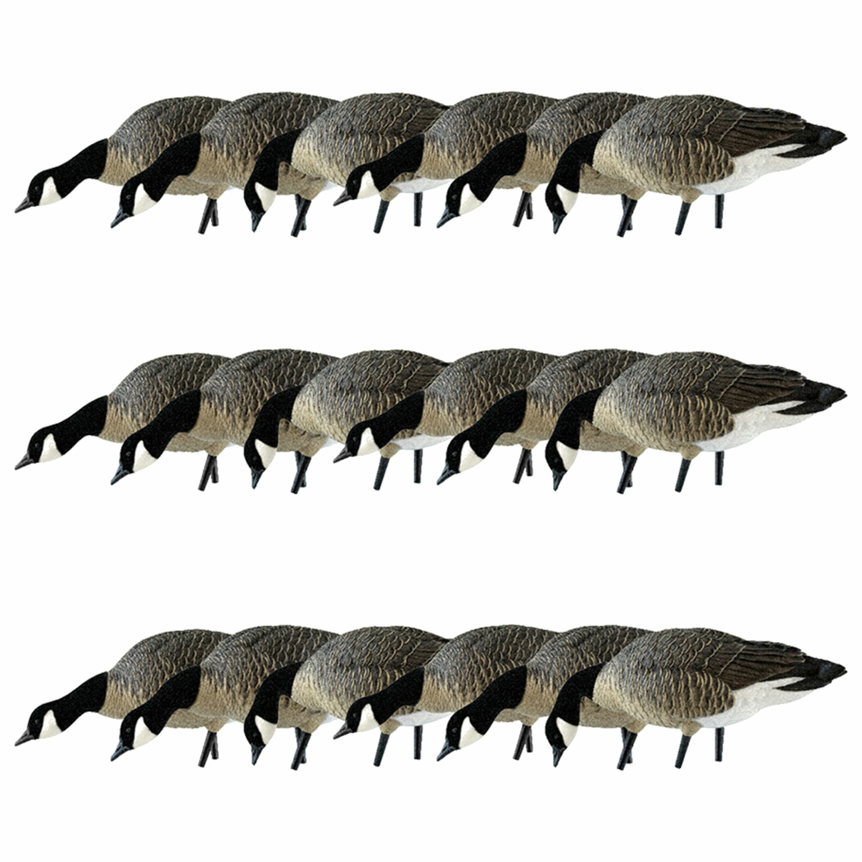  Avian X 408539 29 x 19 x 16 Inche(s) Decoy 18 -Pack
