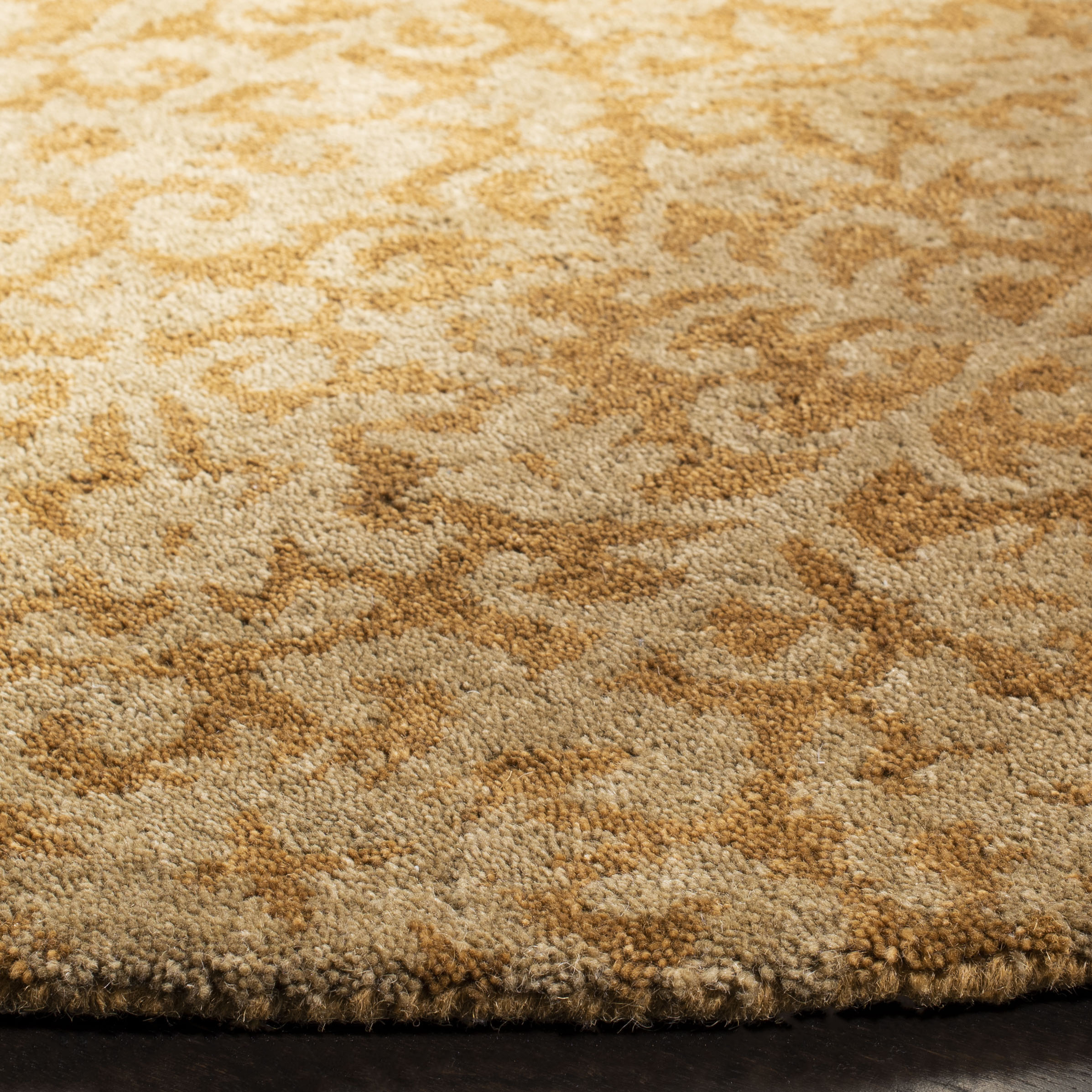 Safavieh AT411A-6R rugs - View #3